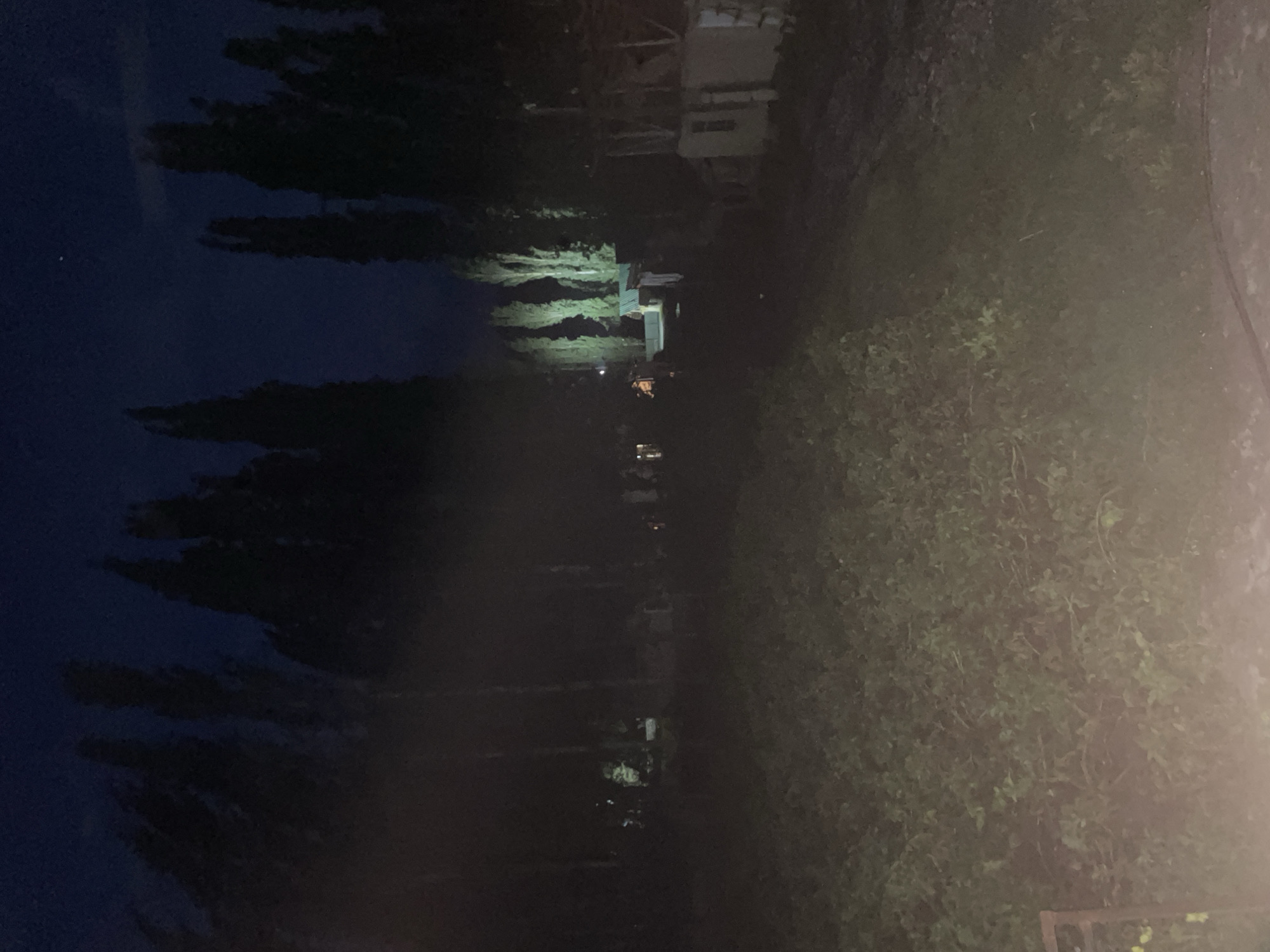 The image depicts a dark, rural nighttime scene in the village of Жаңы-Коргон, Kyrgyzstan. The foreground is dominated by a dense patch of greenery, likely a field or dense vegetation, illuminated by a bright, diffused light source from the lower left, possibly a vehicle's headlights. In the mid-ground, a row of tall, dark trees stands silhouetted against the night sky, with some appearing to be lit from below, casting long shadows. Beyond the trees, several small structures, possibly houses or outbuildings, are visible. One structure in the center appears to have a green roof and is illuminated by a light source, with what seems to be laundry hanging on a line in front of it. To the right, another building with a partially visible window is present. A few indistinct figures are present near the illuminated structures. The sky is dark, with a single bright star visible in the upper right quadrant. The overall impression is one of a quiet, somewhat isolated, rural setting at night.