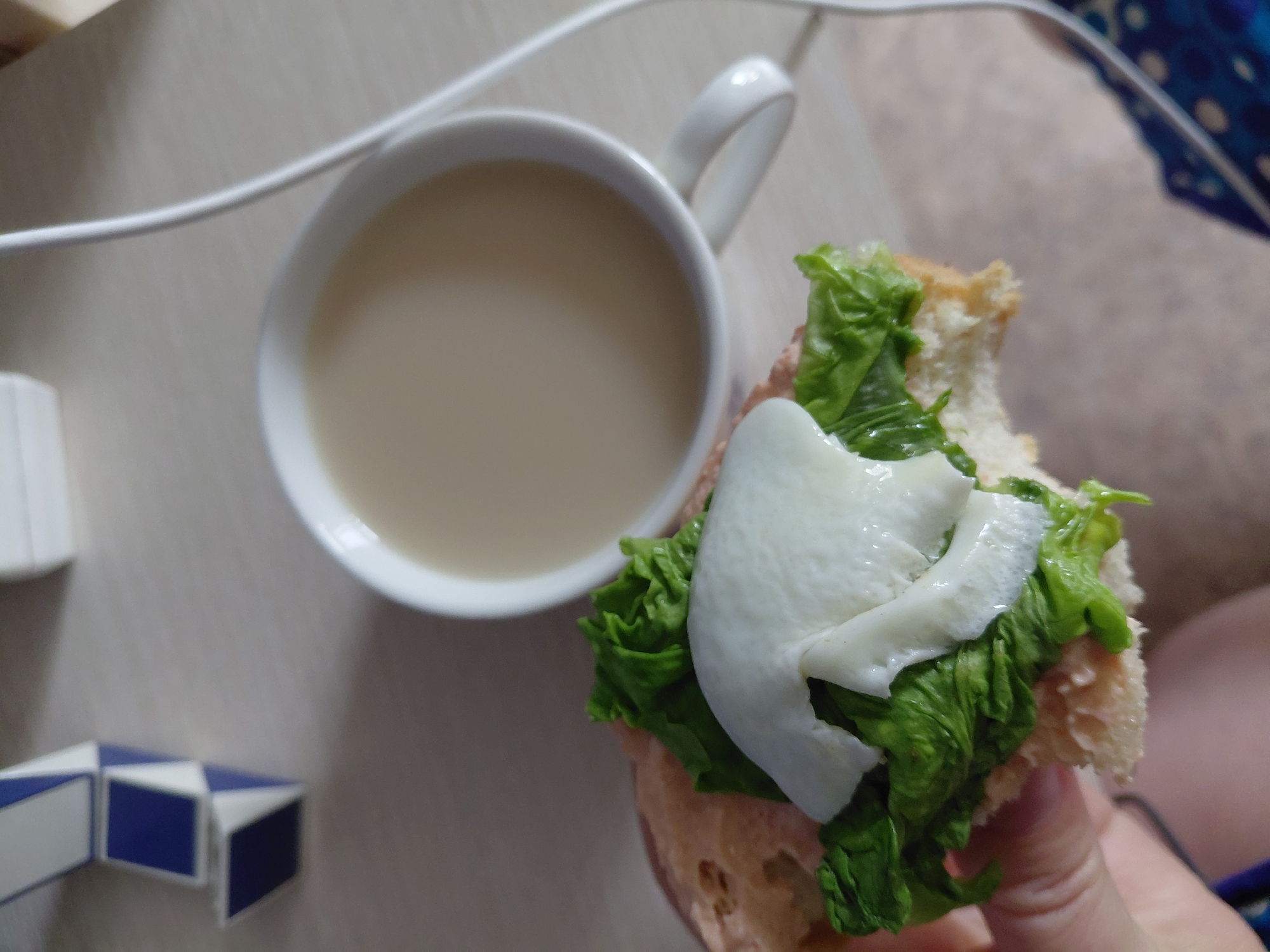 A close-up shot shows a person's hand holding a partially eaten sandwich with lettuce and a white topping, possibly cheese or egg. Next to the sandwich is a white mug filled with a light-colored liquid, likely a beverage. In the background, a white object with blue and white geometric patterns is visible, along with a white cable. The scene appears to be indoors on a light-colored surface. No specific details indicate the location in Novosibirsk, Russia.