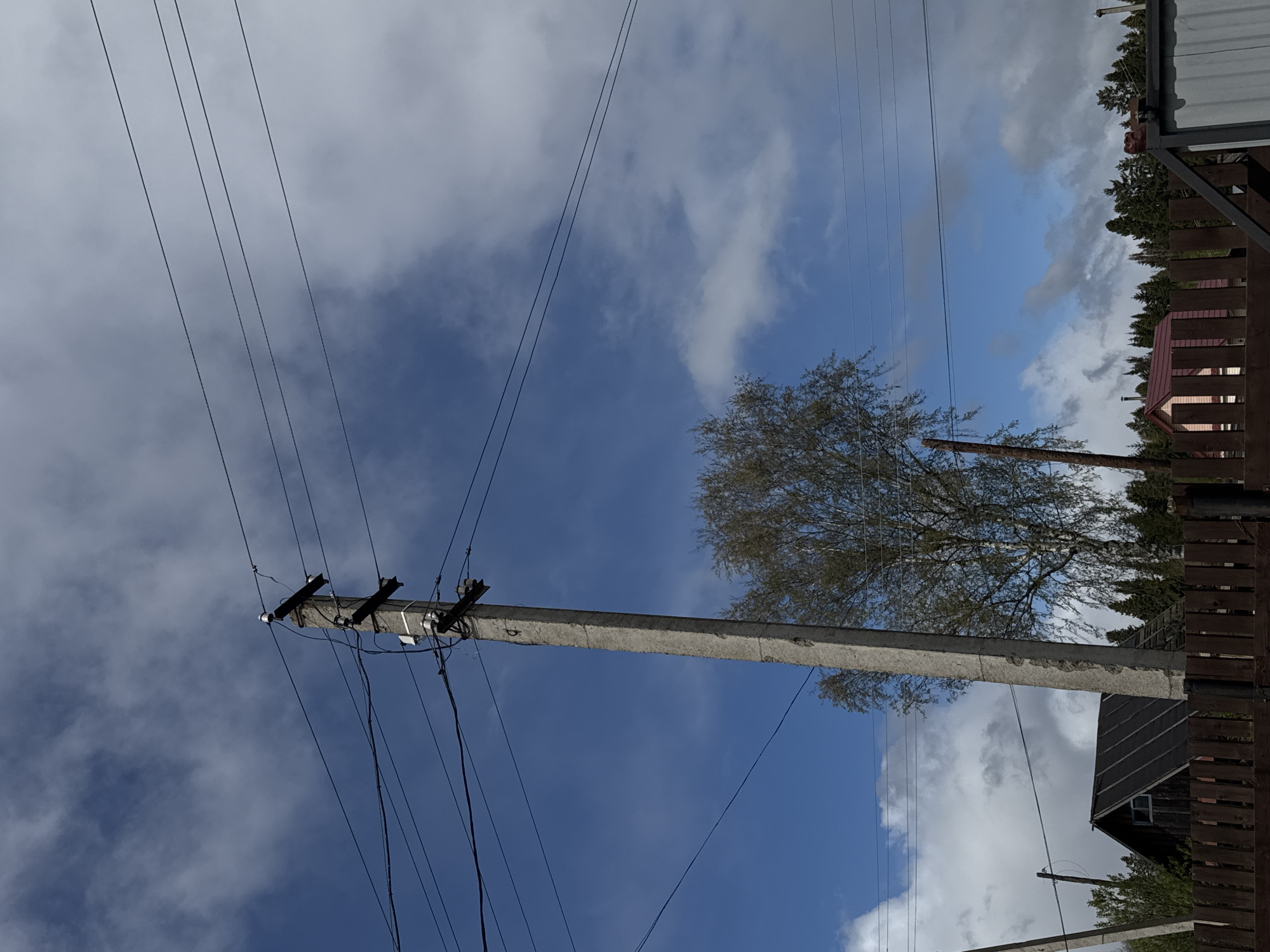 A low-angle shot reveals a utility pole with several power lines extending upwards across a partly cloudy sky. The pole is concrete, and its top has metal fixtures holding the power lines. To the right of the pole is a bare tree with branches reaching towards the sky. In the background, there are fences, trees, and parts of buildings visible, suggesting a residential area. This image was taken in Бородулино, Russia.