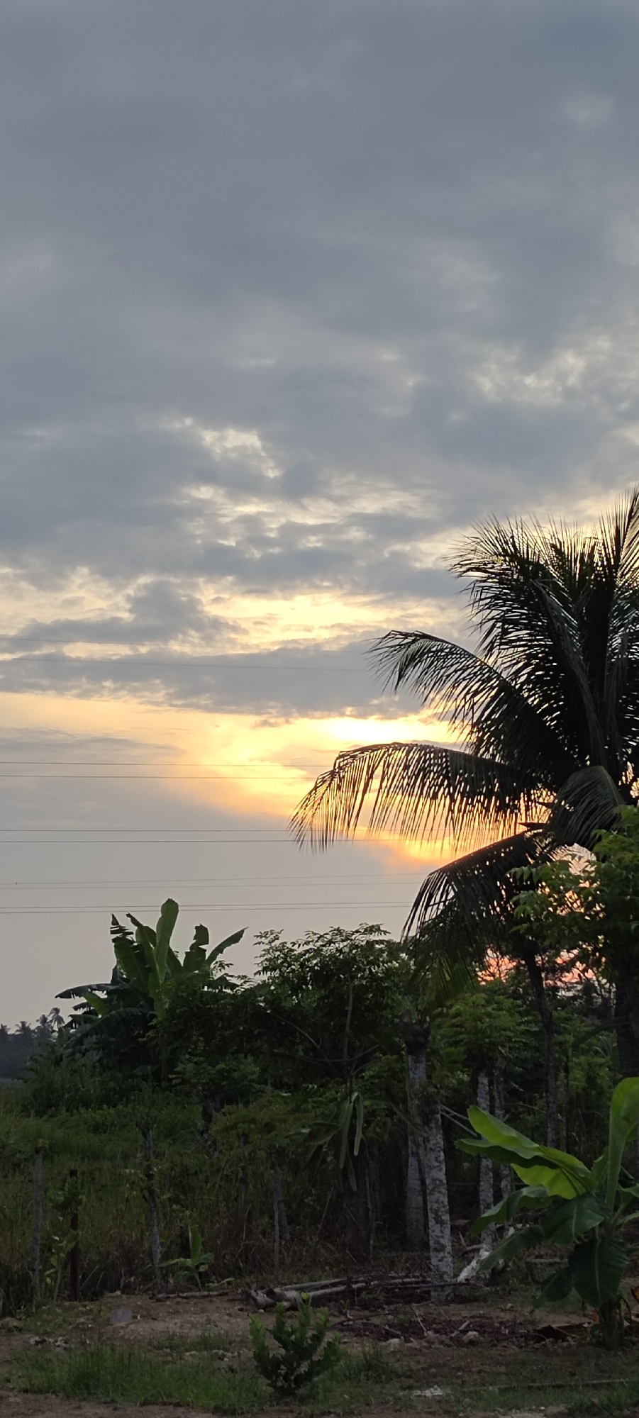 This image depicts a sunset scene with a sky filled with grey and white clouds, partially illuminated by the setting sun which casts golden rays downwards. In the foreground, several palm trees, banana plants, and other lush green vegetation are visible, creating a dense, tropical environment. Utility poles and power lines are subtly present in the background, stretching across the frame horizontally. The lighting suggests either early morning or late afternoon. The overall setting appears to be rural or semi-rural, possibly on the outskirts of the city of Lhokseumawe, Indonesia, given the presence of tropical flora and the atmospheric conditions characteristic of a coastal region in Southeast Asia. There are no people or animals visible in the image.