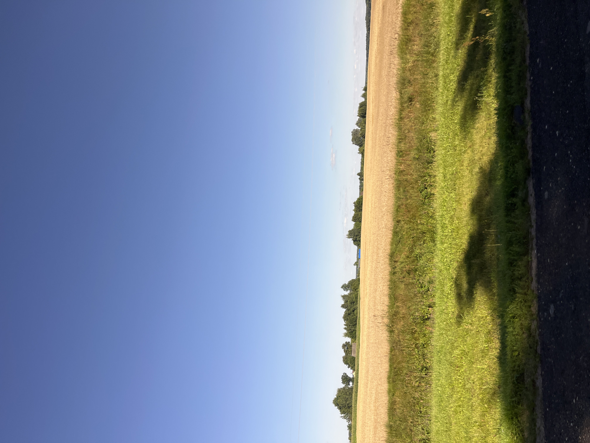 The image shows a landscape scene with a large field of golden wheat or barley under a clear blue sky. In the distance, a line of trees and some buildings are visible. The foreground consists of a grassy area with some shadows cast upon it, and a dark, textured surface which appears to be a road or path. The scene suggests a rural setting in the vicinity of Pastavy, Belarus, likely during a sunny day in the harvest season.