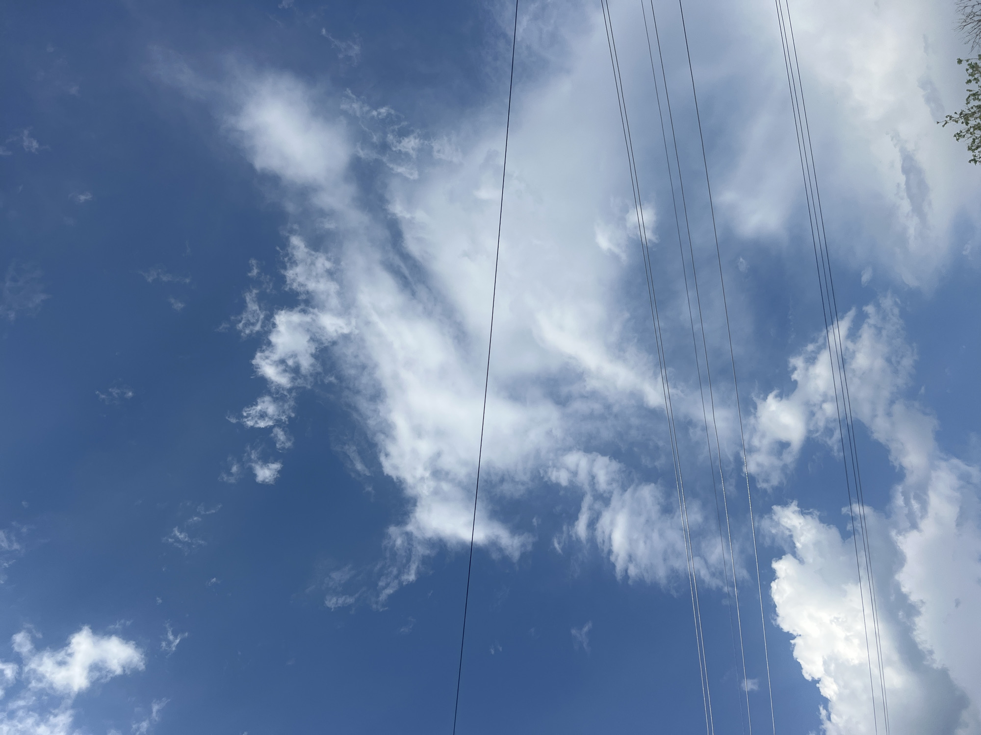 The image shows a sky with a mix of clear blue areas and white, puffy cumulus clouds. Several power lines stretch vertically across the right side of the frame. Part of a tree with green leaves is visible in the upper right corner. The location is not evident from the image, and there is no information in the image to confirm it is in Boguchar, Russia.