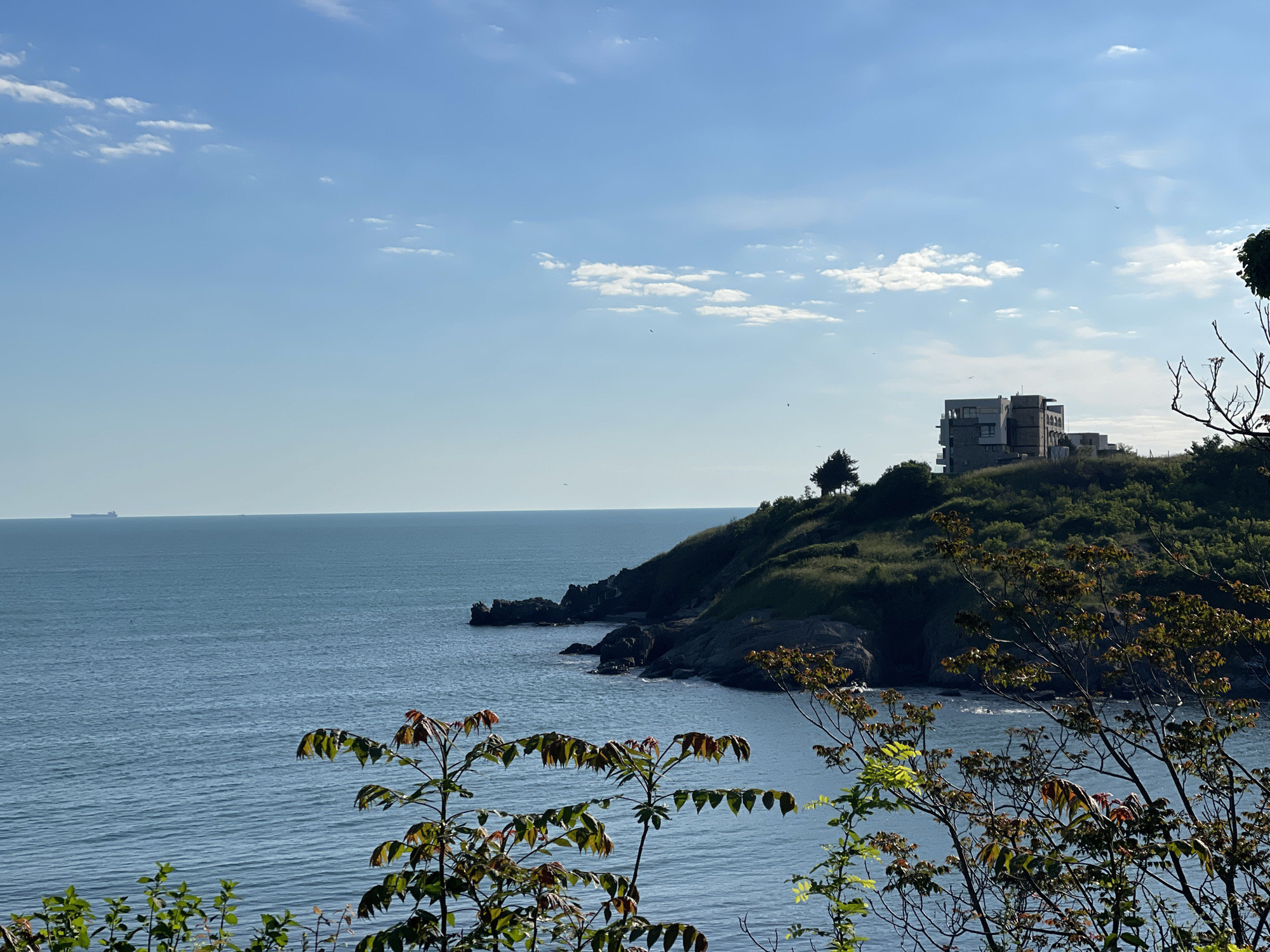 The image shows a coastal scene in Sozopol, Bulgaria. The foreground features leafy plants with reddish and green foliage. The midground consists of the Black Sea meeting a rocky coastline. A green, grassy headland rises from the coast, topped with a multi-story, modern building. A ship is visible on the horizon. The sky is blue with scattered white clouds.