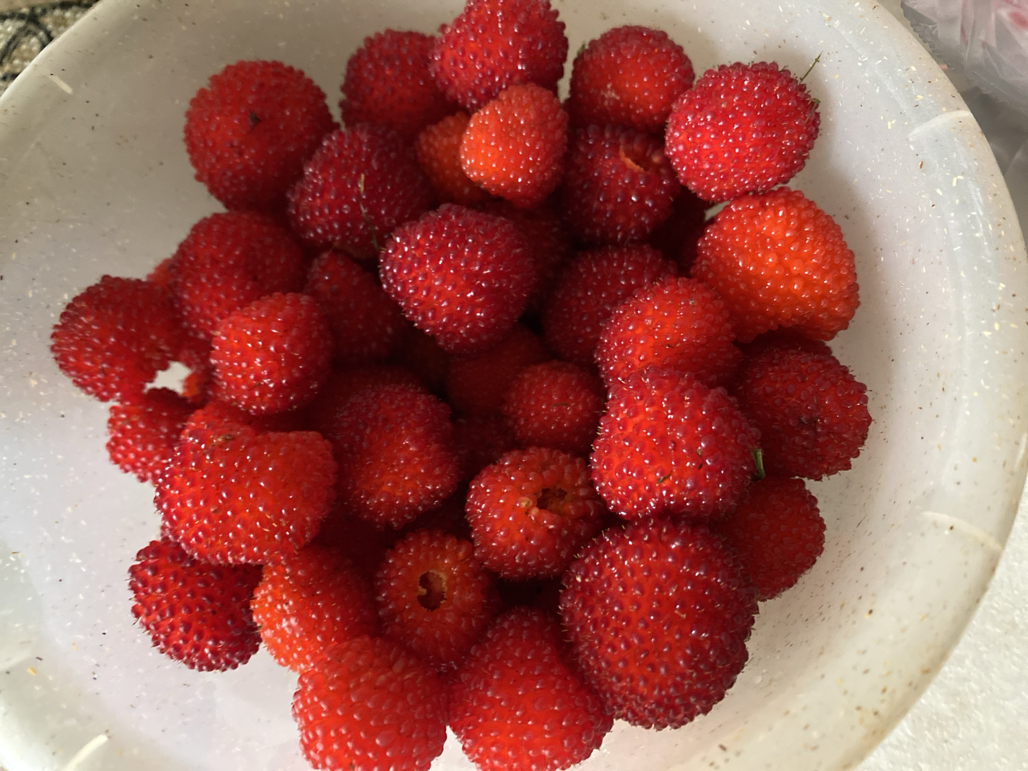A close-up, overhead shot shows a light-colored, speckled bowl filled with ripe, red berries. The berries are roughly spherical with a bumpy texture, each composed of many small drupelets. They are tightly packed together, with some overlapping. The bowl is shallow and appears to be made of plastic or a similar material. The background is out of focus, but suggests an indoor setting. There is no visible evidence to suggest a specific location in Lida, Belarus.