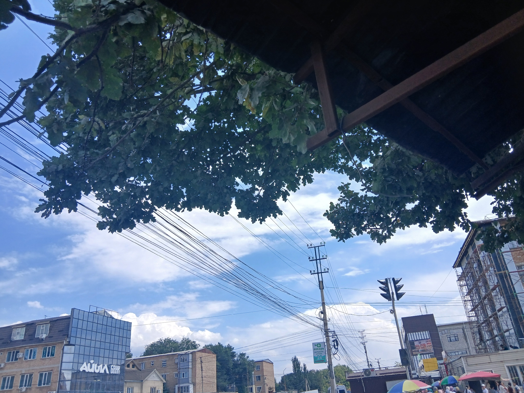 The image captures a street scene in Talas City, Kyrgyzstan. In the foreground, a portion of a dark canopy structure is visible at the top, with leafy branches of a tree hanging down and partially obscuring the sky and surrounding environment. Numerous black electrical wires stretch across the frame, supported by utility poles. A traffic light with three signal heads is prominent on the right side of the image.
In the middle ground, buildings of varying architectural styles are visible. To the left, a modern building with a blue glass facade and the inscription "АЙЫЛ БАНК" (Ayl Bank) is present. Adjacent to it are other brick buildings with windows. Further to the right, scaffolding is erected on a tall building, suggesting ongoing construction or renovation. Below the scaffolding, market stalls with colorful umbrellas are set up, and several people are gathered, indicating a bustling marketplace.
The background consists of a blue sky with scattered white clouds. The overall impression is a lively urban setting, likely a commercial area, with a blend of modern infrastructure and everyday city life.