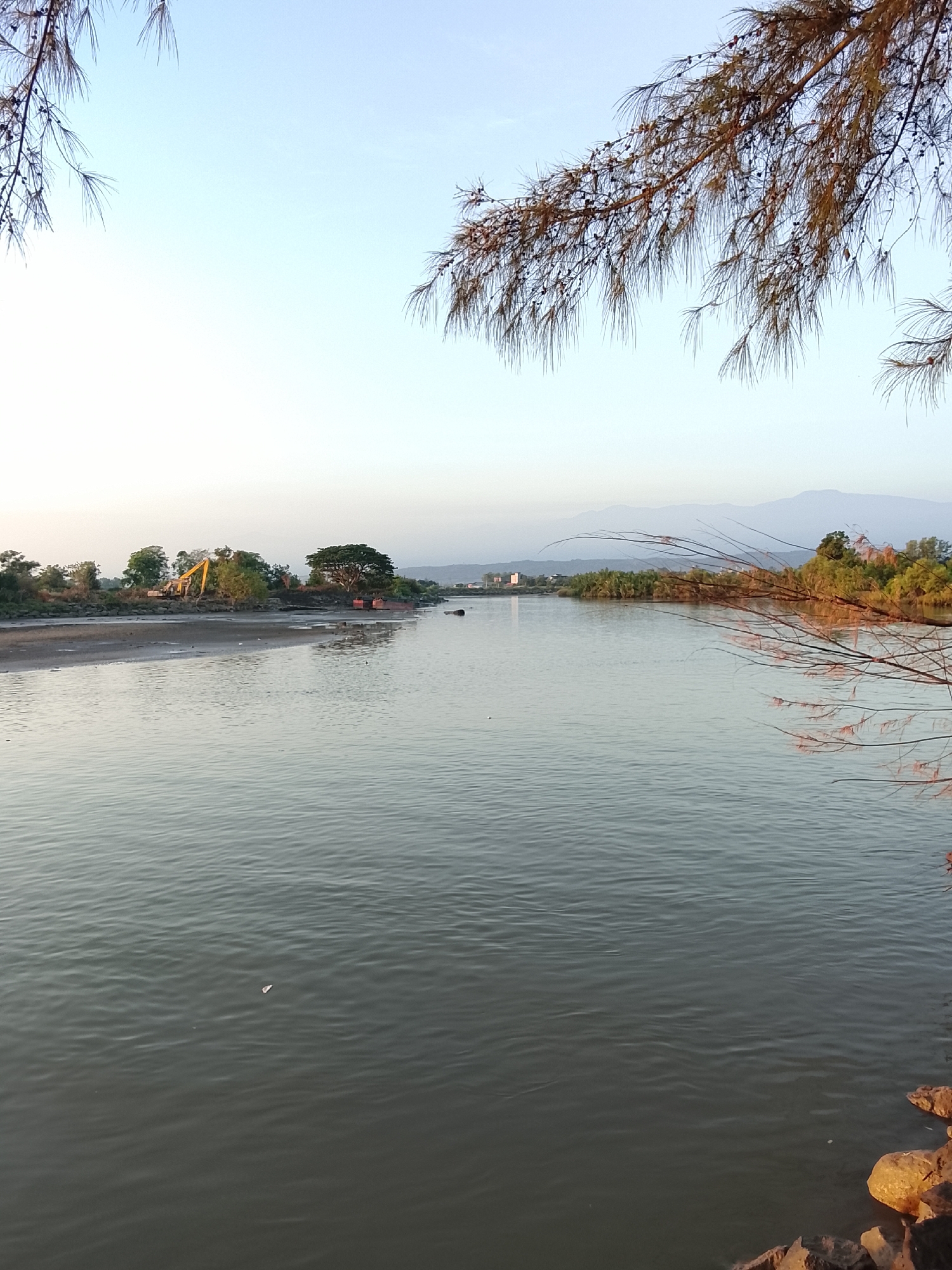 The image depicts a serene natural landscape with a wide body of water in the foreground. The water's surface is calm, reflecting the soft hues of the sky, which transitions from a pale blue at the top to a lighter, almost white shade near the horizon. Overhanging branches of a conifer tree, with their needle-like leaves and small cones, frame the top corners of the image, their dry, brown tones contrasting with the clear sky.
The middle ground reveals a sandy shore leading to a vegetated bank dotted with trees. An excavator, painted yellow, is visible on the shore, suggesting construction or maintenance work is in progress. Further along the bank, a dense cluster of trees creates a natural barrier, and a distinctive, large tree with a broad canopy stands out. The background features a hazy outline of mountains against the pale sky.
The water on the right side of the image is closer to the viewer, with a rocky embankment at the bottom edge. A few small, brown rocks are scattered along the water's edge. A small, white object, possibly a piece of debris, floats on the water's surface in the middle left portion of the frame.
The overall impression is one of a tranquil, undeveloped area, likely a coastal or riverine environment, with subtle signs of human activity. The lighting suggests it is either early morning or late afternoon, as the sun's rays are diffused, casting a soft glow over the scene.