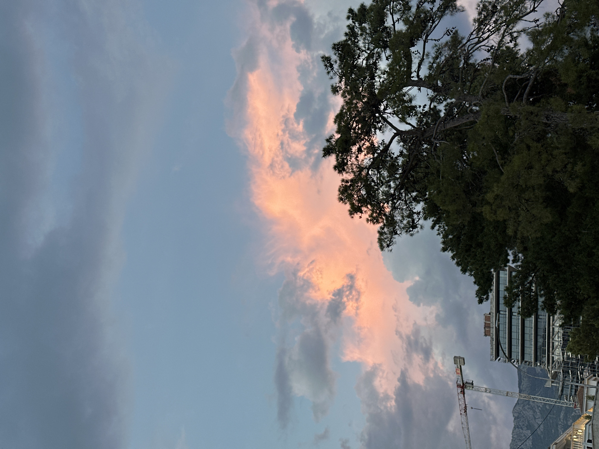 The image shows a cloudy sky with pink and orange hues, characteristic of a sunset or sunrise. In the foreground, a large evergreen tree with dark green foliage partially obscures the view of a construction site. A tall construction crane with a red and white exterior is visible to the left of a multi-story building that appears to be under construction, with scaffolding and exposed structural elements. In the background, mountains rise against the horizon. The scene is likely located in Budva, Montenegro, a coastal city known for its scenic beauty and ongoing development. There are no people visible in the image.