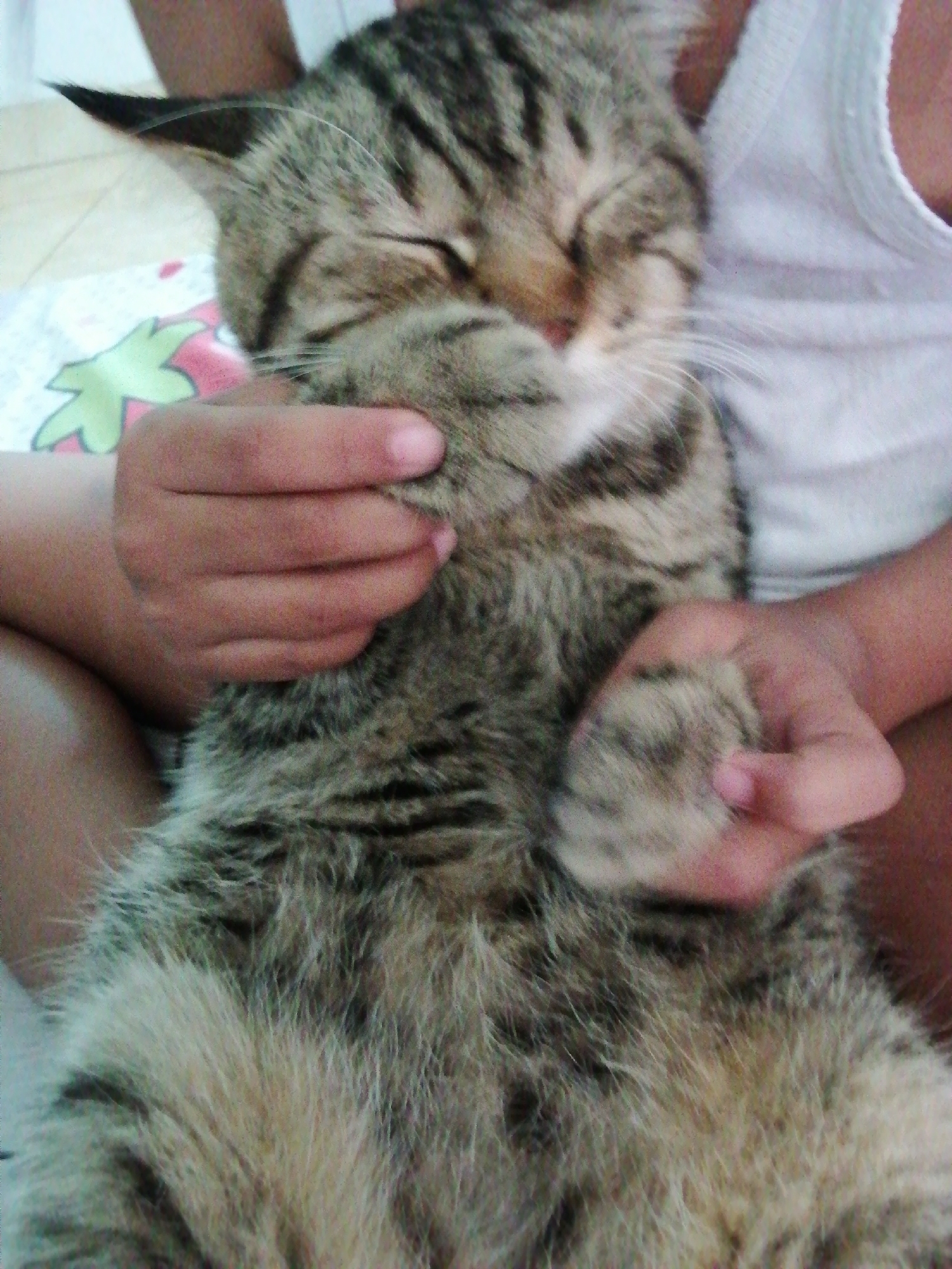 A close-up, medium shot captures a tabby cat nestled against a person's chest. The cat is lying on its back with its eyes closed and its paws crossed over its face, appearing relaxed. The person is wearing a white tank top. The background is blurred, showing a colorful patterned surface. The image is taken from a high angle, looking down at the cat and person. The lighting is soft and diffused. The location is not specified in the image.