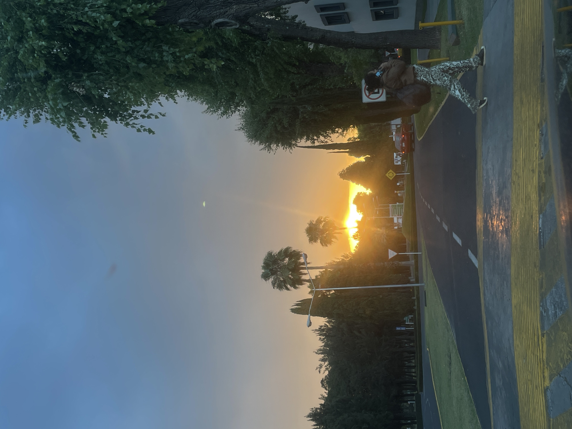 The image depicts an outdoor scene in San Andrés Cholula, Mexico, captured during either sunrise or sunset, characterized by a bright orange-yellow sun positioned low on the horizon, casting a strong glare. The sky transitions from a light blue at the zenith to warmer orange hues near the horizon.
A single individual is observed walking from right to left across a pedestrian crosswalk, which is delineated by textured yellow strips and painted yellow and black stripes. This person is dressed in a brown jacket, white pants with a dark abstract or camouflage pattern, and dark shoes. They carry a dark backpack and hold a dark smartphone to their right ear, appearing to be engaged in a phone call.
The environment includes paved asphalt roads with white dashed lane markings, some sections of which reflect the intense sunlight. Grassy verges line the roads, separating them from areas of dense vegetation. Numerous trees are present, including dark green coniferous trees, several tall palm trees silhouetted against the sun, and a large deciduous tree with green foliage on the far right. A white building with dark rectangular windows is partially visible on the right. Streetlights and several road signs, including a circular sign with a red border and a diagonal line (typically indicating 'no stopping' or 'no parking'), and a triangular yield sign, are visible within the scene. In the middle distance, a red sedan is observed on the road, partly obscured by trees and the sun's glare.