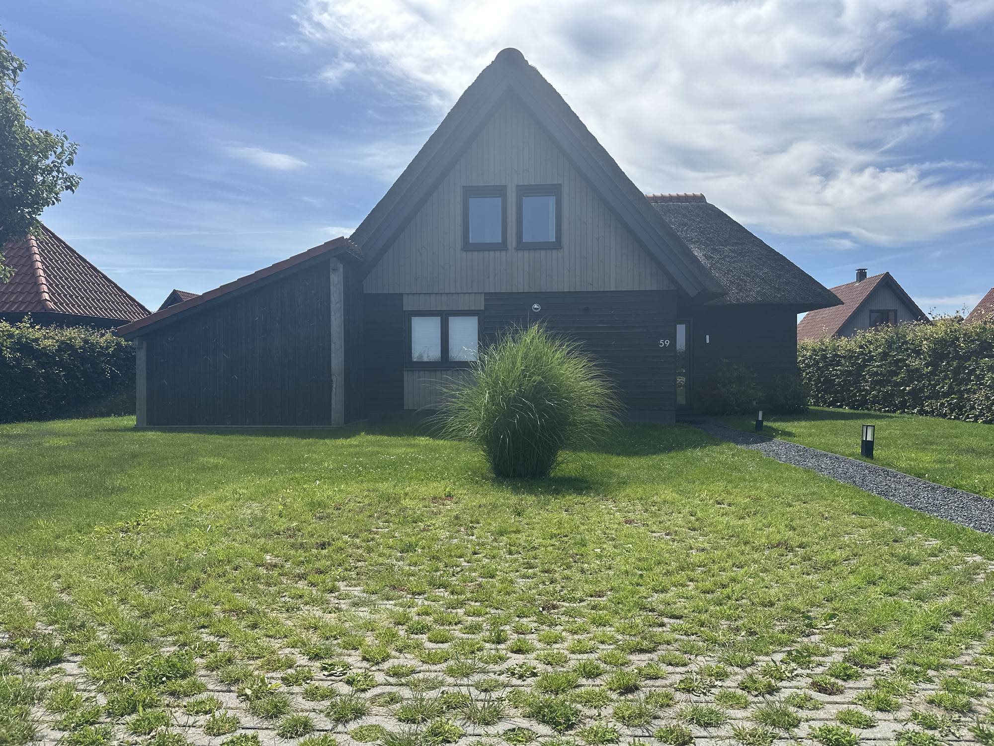 This is a frontal, eye-level, outdoor, full shot of a modern, dark-wood house with a thatched roof and a red-tiled roof section, situated in Ossenzijl, Netherlands. The house is positioned in the center of the frame, with a well-maintained lawn in front. The lawn transitions from a textured paved area in the foreground to a standard grass lawn behind it. A large, fluffy green ornamental grass plant is located centrally in front of the house. To the left of the house, part of another building with a red-tiled roof and dense green hedge is visible. To the right of the house, another building with a red-tiled roof and a chimney is partially visible behind a hedge. A gravel path leads from the house to the right, with two modern black post lights flanking it. The sky is blue with wispy white clouds, indicating a clear day. The house has two windows on the upper level and one on the lower level. The number "59" is visible on the right side of the lower level of the house. The overall scene depicts a residential property on a bright, sunny day.