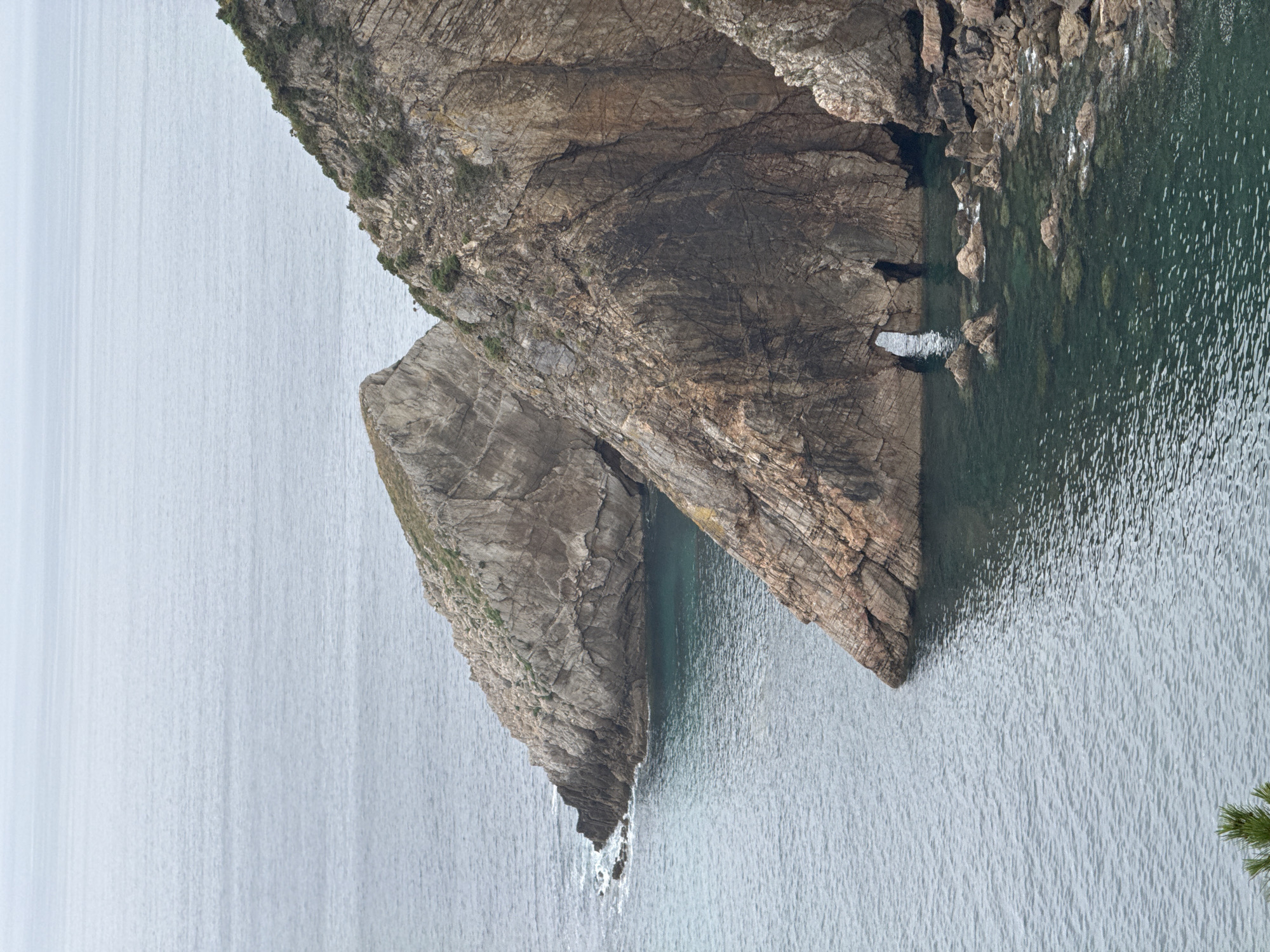 The image shows a dramatic coastal landscape with rocky cliffs meeting the ocean. The cliffs are layered and appear to be composed of sedimentary rock, with some vegetation growing on their surfaces. The water is a deep blue-green, with some smaller rocks and outcrops visible near the shore. In the foreground, there are some scattered rocks and a hint of greenery, possibly a tree or shrub. The sky is overcast, casting a soft, diffused light over the scene. The location is the coast of Cudillero, Spain, known for its rugged beauty and picturesque villages. Specifically, the image likely depicts a section of the coast near the iconic Playas del Silencio or nearby cliffs, characterized by these rock formations and the rough sea. There are no people or discernible man-made structures in this particular frame.