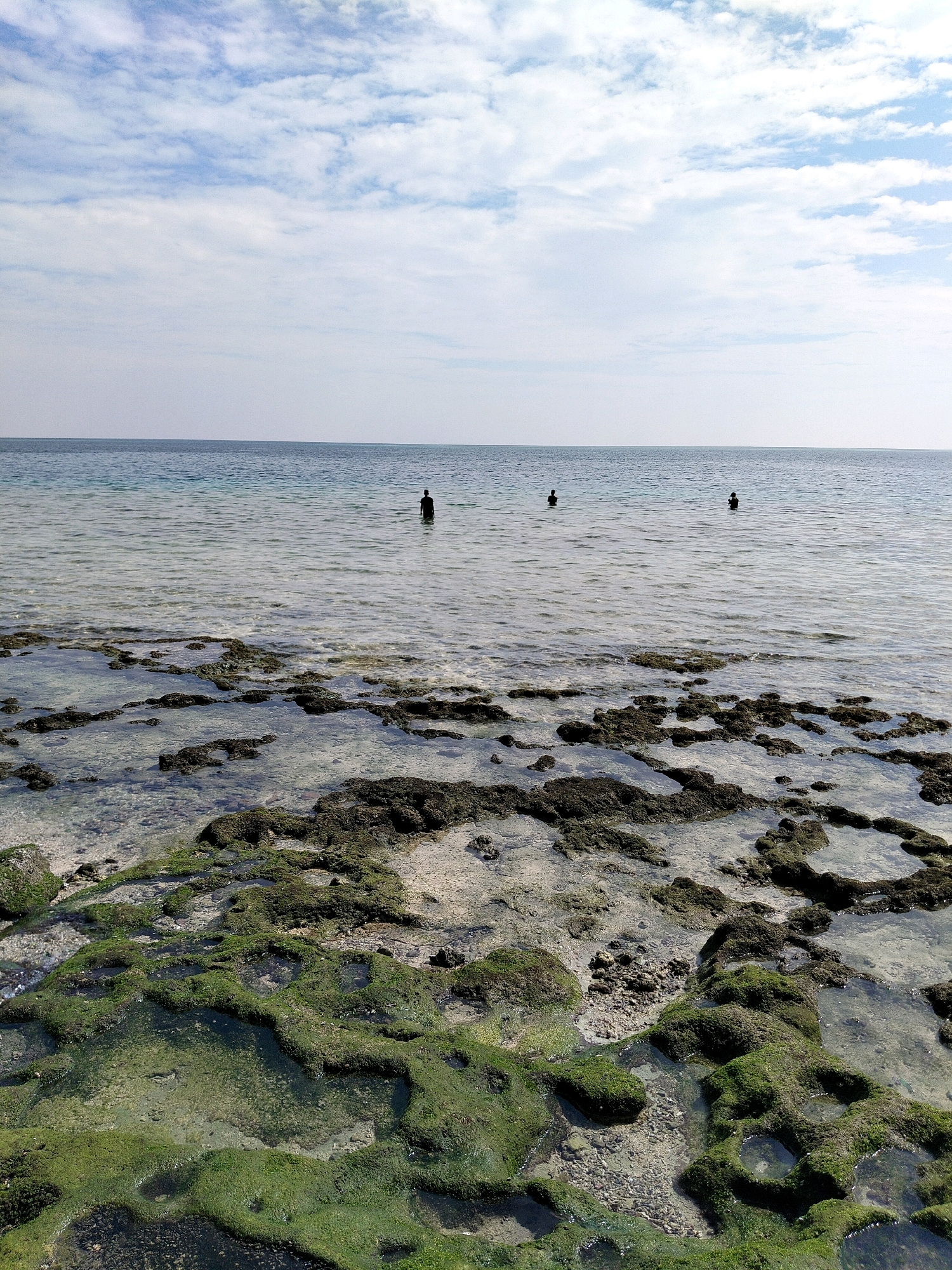 The image depicts a coastal scene with a rocky foreground covered in green algae. The water is clear, revealing the seabed with scattered rocks and pebbles. In the middle distance, three figures are visible standing in the shallow water, appearing to be immersed up to their waists. The horizon is marked by the meeting of the sea and the sky, which is filled with scattered white clouds against a pale blue backdrop. The overall impression is one of a serene, natural environment. The location is identified as Pantai Pasir Putih, located in the city of Biak, Indonesia, a popular coastal area known for its clear waters and rocky shores.