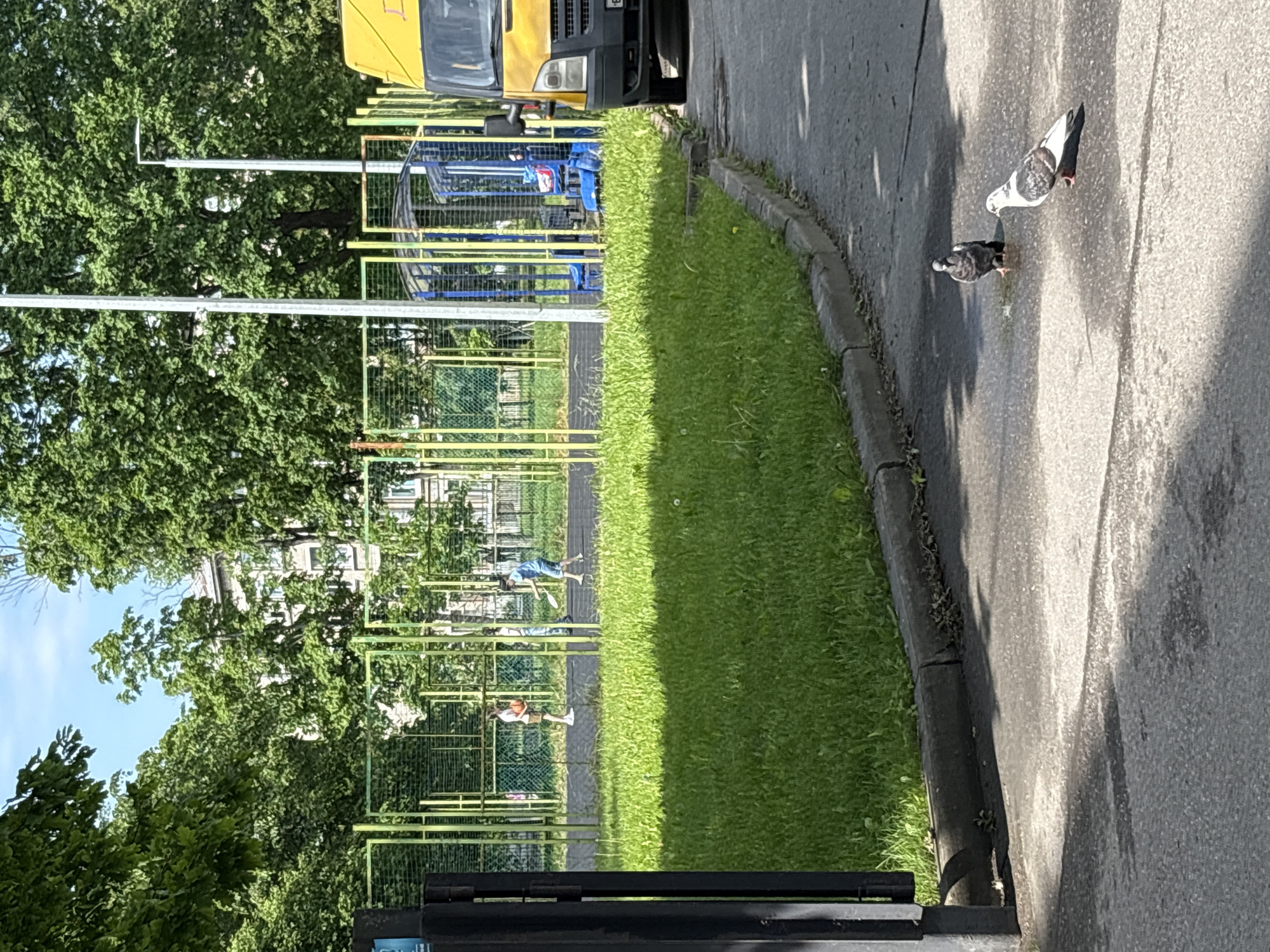 The image depicts an outdoor urban scene featuring a grassy sports field alongside an asphalt road, under bright daylight. In the foreground, a black fence or gate stretches across the bottom of the frame.
On the asphalt road to the right, two pigeons are present. One is predominantly white with black and grey markings, while the other is a smaller, darker grey pigeon, appearing to peck at the ground. Clear shadows are cast across the road.
To the left, a strip of green grass borders a yellow metal fence, enclosing a larger sports field. Within this field, two individuals are engaged in an activity, with one person visibly holding what appears to be a badminton racket, suggesting a game in progress. The field is bordered by several lush green trees with dense foliage, indicating a warm season.
In the upper center, the front of a yellow delivery van or truck is parked by the road, partially obscured by the trees and sports netting. A license plate is visible on the vehicle, but its characters are not clearly legible. Further in the background, a light-colored building is partially visible through the treeline. The scene is illuminated by bright sunshine, creating distinct shadows and suggesting a clear, calm day in an everyday urban setting in Saint Petersburg, Russia.