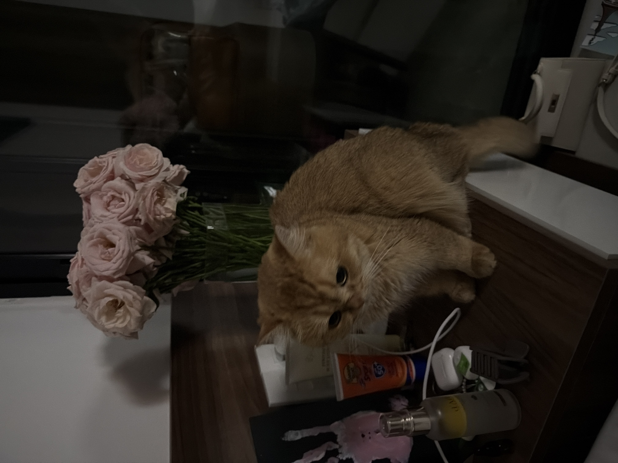 A light-orange cat with large, dark eyes is sitting on the edge of a wooden nightstand. In front of the cat are several objects, including a bottle of sunscreen, a small white box, and a dark comb or clip. To the left of the cat, a tall glass vase holds a bouquet of light pink roses. The background appears to be a room with a large window reflecting some dimly lit objects. The scene is dark, suggesting it is nighttime or indoors with low lighting. There is no visible indication of the location being in Đà Nẵng, Vietnam.