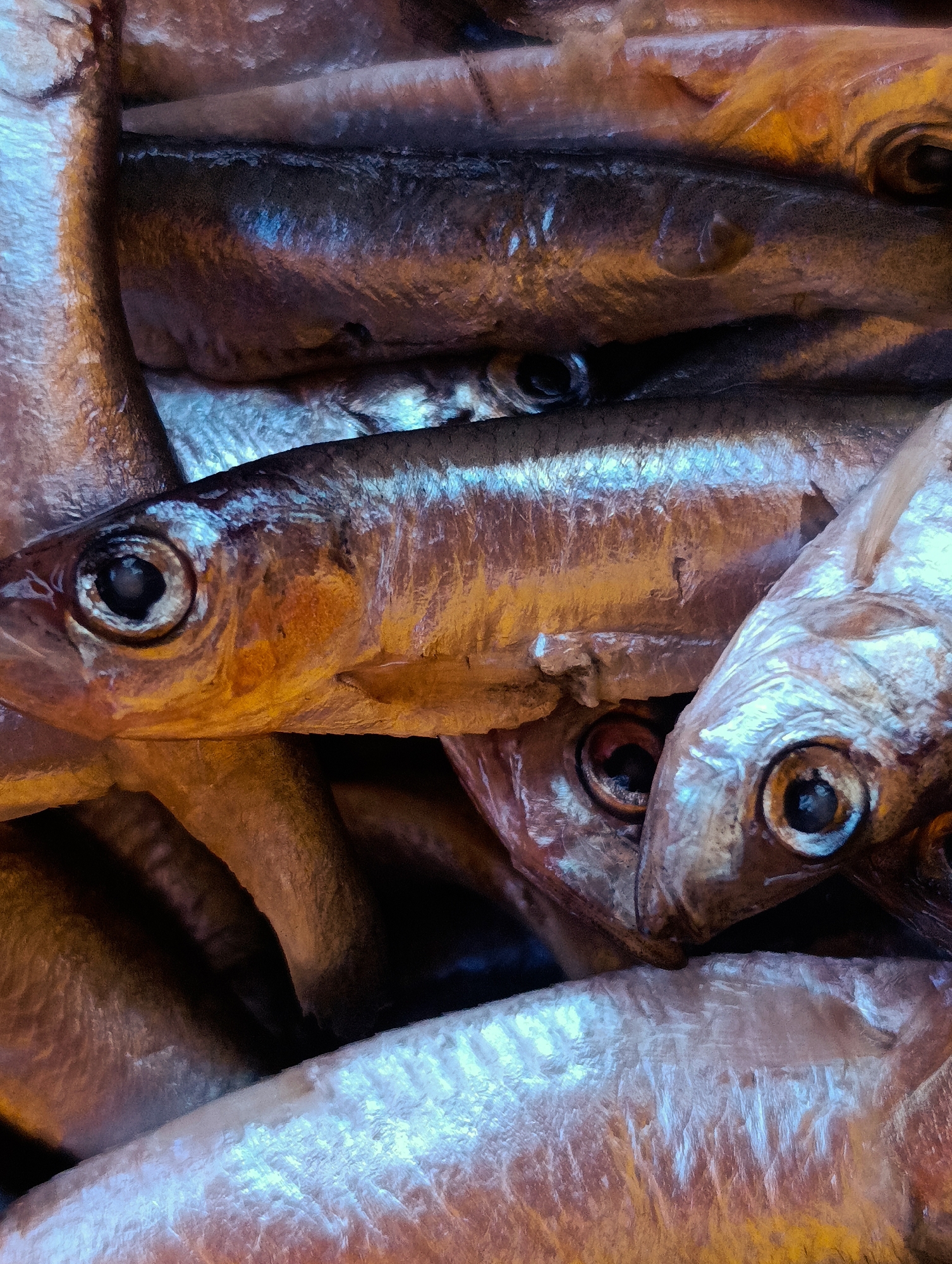 The image depicts a close-up view of a pile of small, silvery fish. The fish are densely packed together, with their eyes visible. The image suggests a focus on the fish's features, likely in the context of a food market. It is unclear if the image was taken in Shiroko pole, Bulgaria, or if that location is even relevant to the scene. There are no people or other identifiable objects in the image.