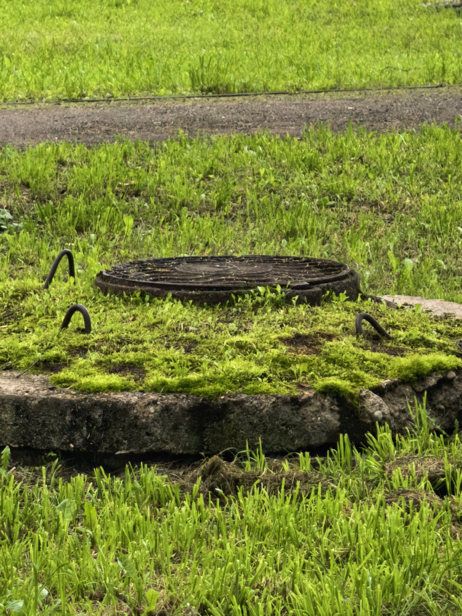 The image depicts a weathered, circular metal manhole cover resting on a concrete slab overgrown with bright green moss and small weeds. Two dark, curved metal loops, possibly handles for lifting the cover, are visible protruding from the mossy surface. The concrete slab itself appears to be a structure, perhaps part of an underground utility access point, with rough, uneven edges.
The foreground and background are dominated by lush, green grass, suggesting an outdoor setting. A narrow, dirt path or track runs horizontally across the middle ground, separating two distinct patches of grass. The lighting suggests it is daytime, with no harsh shadows indicating direct sunlight, possibly indicating an overcast sky or diffused light. The overall scene conveys a sense of neglect or a natural reclamation of an industrial or man-made structure by the environment. There is no visible text in the image. The location context provided is Sterlitamak, Russia.