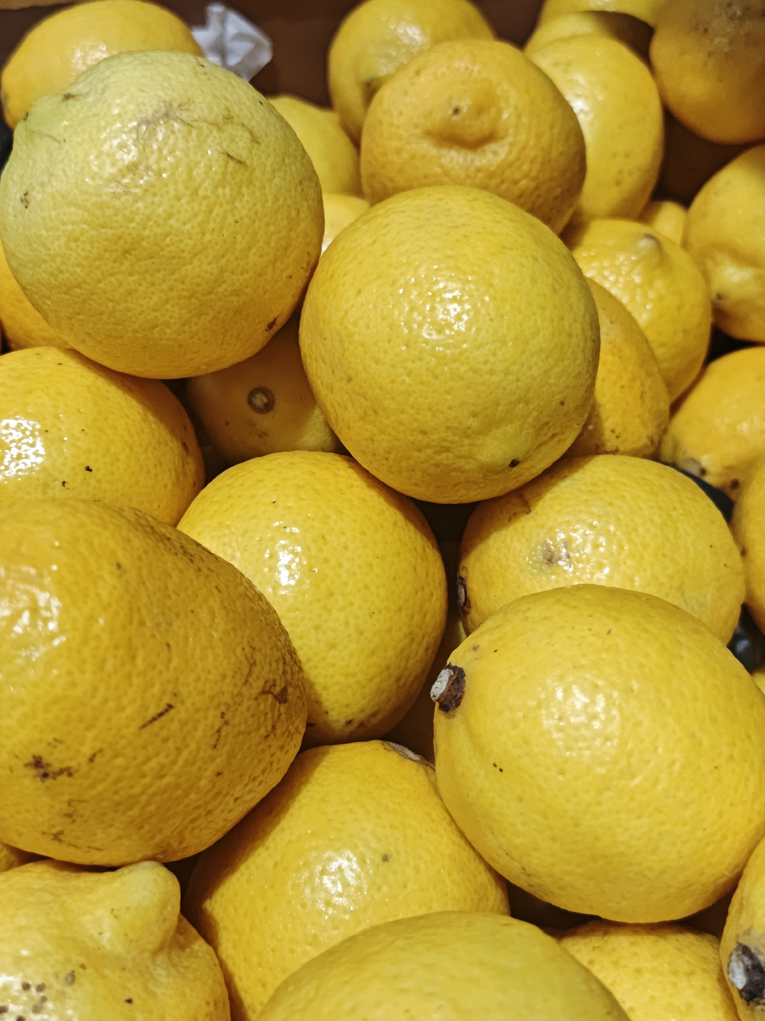The image is a close-up, overhead shot of a pile of yellow lemons. The lemons are of various sizes and shapes, with some appearing smoother and others having a more textured rind. They are densely packed together, filling the frame. The lighting is bright, highlighting the vibrant yellow color of the fruit and creating small reflections on their surfaces. No specific location in Shcherbinka, Russia, can be determined from the image.