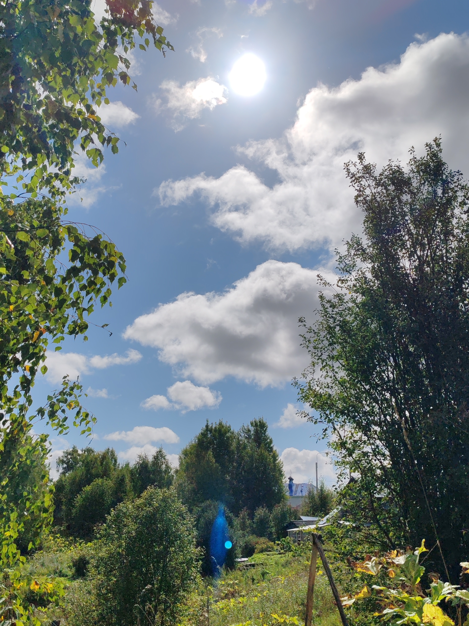 The image depicts a sun-drenched outdoor scene, likely a rural or suburban area, possibly in or around Чухлэм, Russia. A bright sun shines through a partly cloudy sky, casting a luminous glow. Lush green trees and vegetation dominate the foreground and midground, with some leaves showing autumnal hues of yellow and brown. In the distance, several trees are clustered together, and a small cluster of buildings, including a structure with a blue-domed roof, is visible. The ground is covered in grass and wild plants, suggesting an uncultivated or garden area. A wooden post is partially visible in the lower right quadrant. A slight lens flare, appearing as a blue circular light, is present in the lower portion of the image. No people are clearly discernible in the frame.