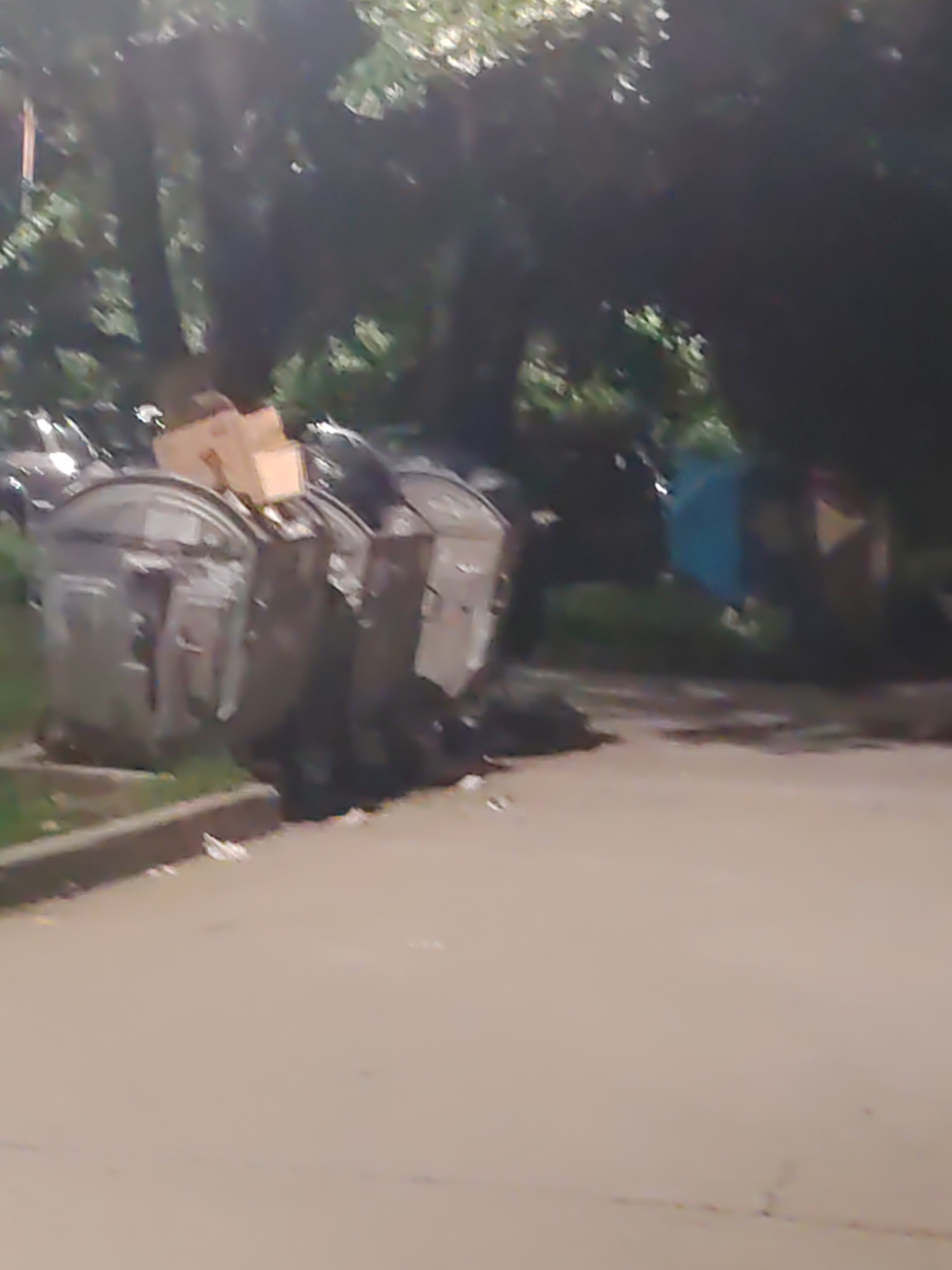 The image depicts a street scene in Dobrich, Bulgaria, with several large, grey, metallic dumpsters lined up along a curb. One dumpster is noticeably tipped over on its side, revealing its open lid and some contents. Cardboard boxes are stacked precariously on top of another dumpster. Trash is scattered around the base of the dumpsters and on the adjacent pavement. The background shows trees with dense foliage, suggesting an outdoor, possibly urban, environment. The lighting is dim, indicating it might be evening or a heavily shaded area. No people are visible in the frame.