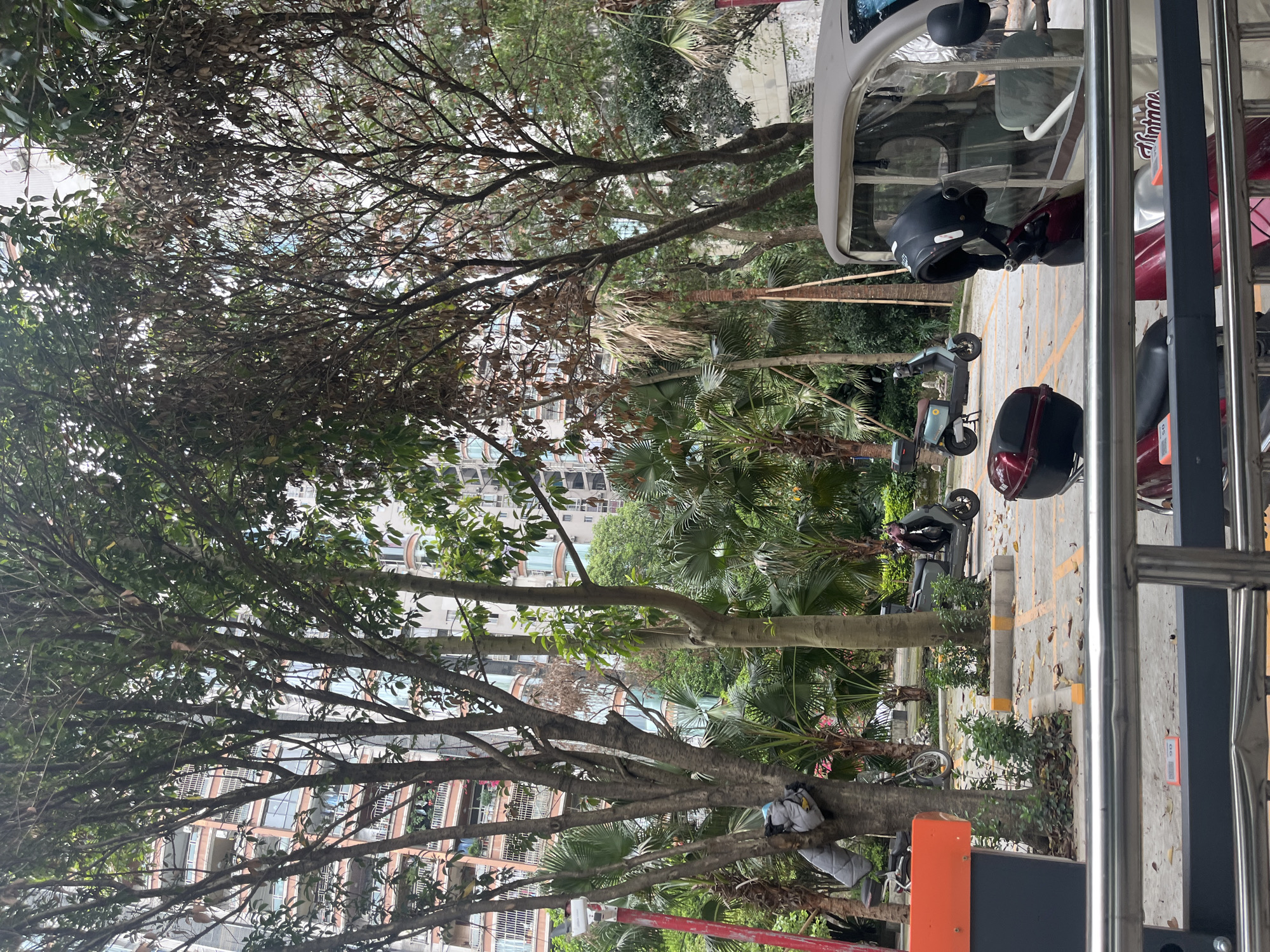The image shows an outdoor scene in Jiangjin, China. Several scooters are parked in designated parking spots. A three-wheeled vehicle is partially visible at the right edge of the frame. Trees with sparse foliage frame the scene, with residential buildings visible in the background. The overall lighting suggests it is daytime. The location appears to be a parking area with surrounding greenery.