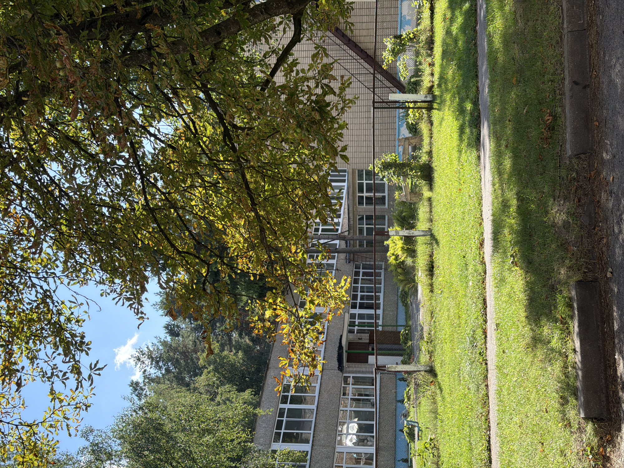This is a daytime, eye-level, full outdoor shot of a school building in Minsk, Belarus. The building is a low-rise, concrete structure with multiple rows of white-framed windows. A large tree with yellowing leaves dominates the foreground, casting shadows on the green grass and a paved walkway. A metal fence separates the walkway from the building's grounds, where a metal staircase is visible. The sky is blue with a few scattered clouds. The overall scene suggests an autumn setting.