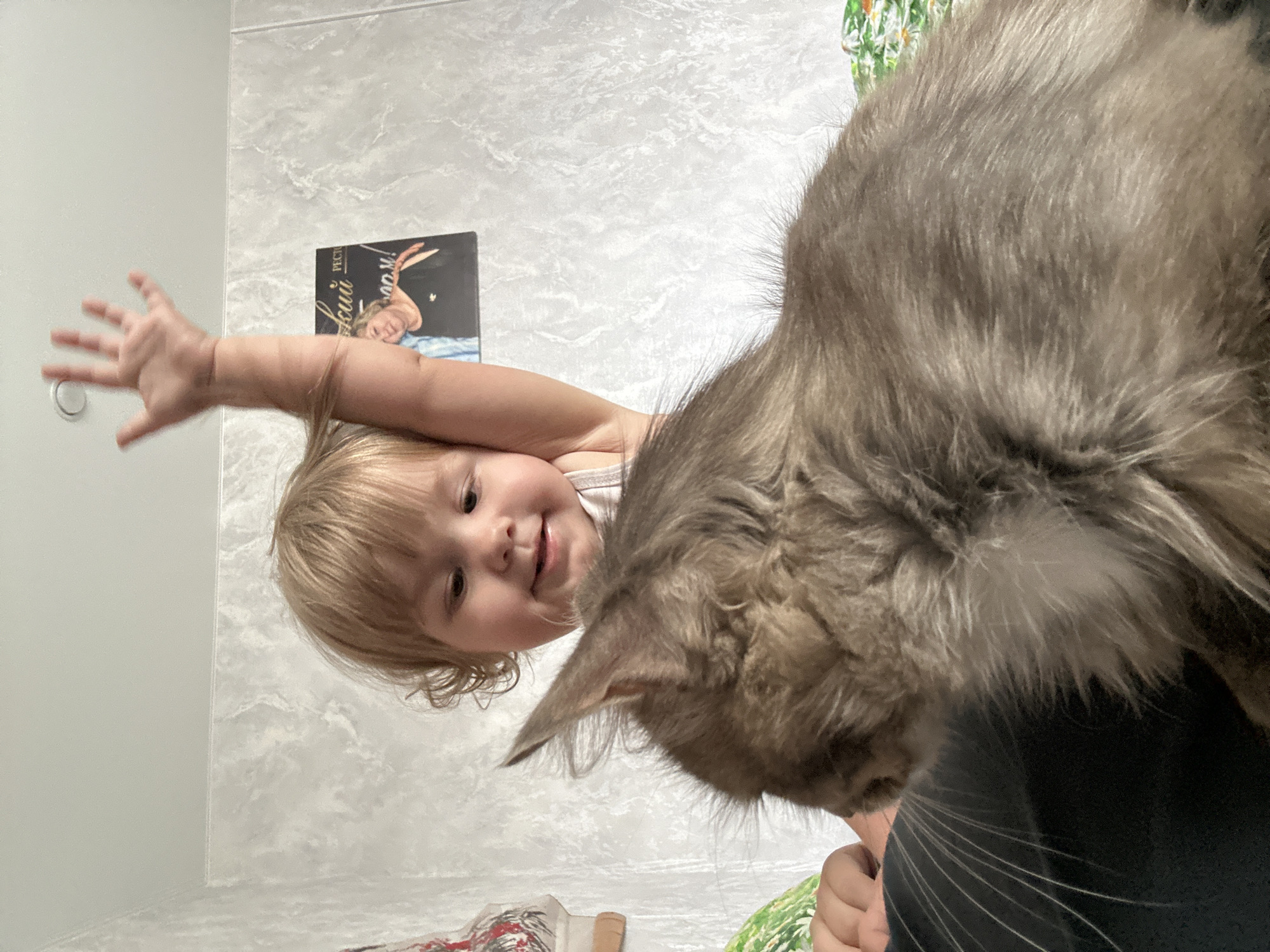A young child with blonde hair and a white shirt is held by an unseen person, with their right arm raised and hand open. The child is smiling and looking down towards a long-haired, gray tabby cat which is in the foreground, obscuring much of the child's body. The cat is looking downwards and to the left. Behind the child, a wall with a marble-like pattern is visible, with a framed picture hanging on it. The scene appears to be indoors, possibly in a residential setting. The image does not provide any information or visual cues to determine its location within the city of Ольховка, Russia.