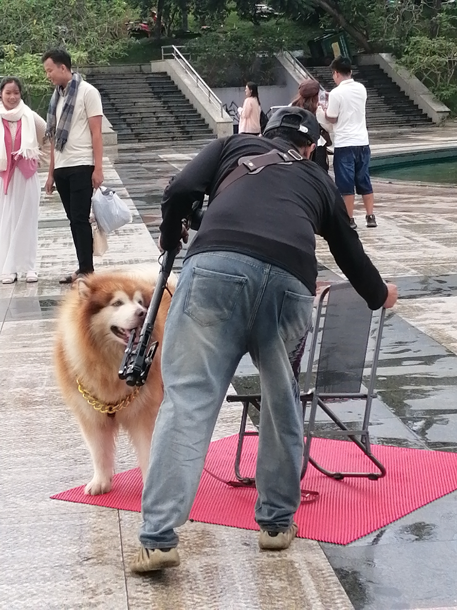 The image depicts a scene in Da Lat, Vietnam, with a focus on several individuals and a dog. In the foreground, a large Alaskan Malamute with a thick golden chain around its neck stands on a red mat, looking to the left. A person dressed in jeans and a black long-sleeved shirt is positioned behind the dog, holding a device that appears to be a camera gimbal. To the left of the dog, a woman in a white dress and pink shawl stands with her back to the camera, facing a man. This man, wearing a light-colored t-shirt and a scarf, is holding a white plastic bag and looking to his right. Further in the background, a man in a white polo shirt and blue shorts is facing away from the camera, holding a smartphone. Behind them, a set of wide, stone stairs ascends a gentle slope, bordered by lush greenery. The ground is wet, suggesting recent rain, and the overall setting appears to be an outdoor public space, possibly a park or plaza.