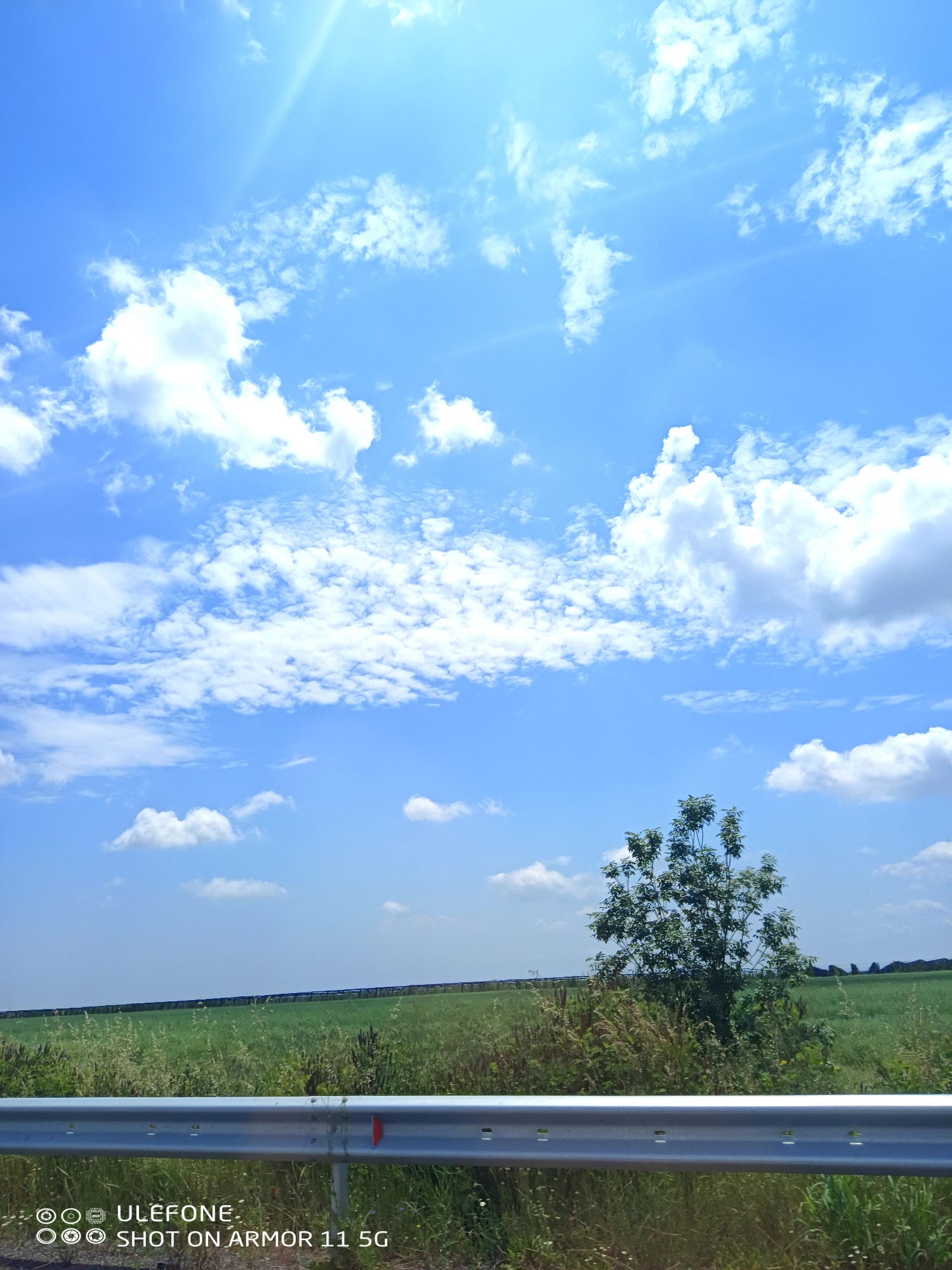 The image depicts a bright, sunny outdoor rural scene in Kozare, Bulgaria. A vibrant blue sky with numerous scattered white cumulus and stratocumulus clouds dominates the upper two-thirds of the frame. Distinct sun rays emanate from the upper left corner. The middle ground features a flat, expansive green agricultural field extending to the horizon, where a dark, linear structure, possibly a fence or distant treeline, is visible. The immediate foreground is marked by a horizontal, silver-colored metal guardrail with small red reflective markers visible on its top edge. Behind and below the guardrail, a strip of uncultivated green vegetation, consisting of grasses and weeds, is present. A single, leafy green deciduous tree stands on the right side of the frame, emerging from this vegetation. No people, animals, or active human interactions are depicted. A digital watermark in the lower-left corner indicates "Ulefone" and "SHOT ON ARMOR 11 5G".