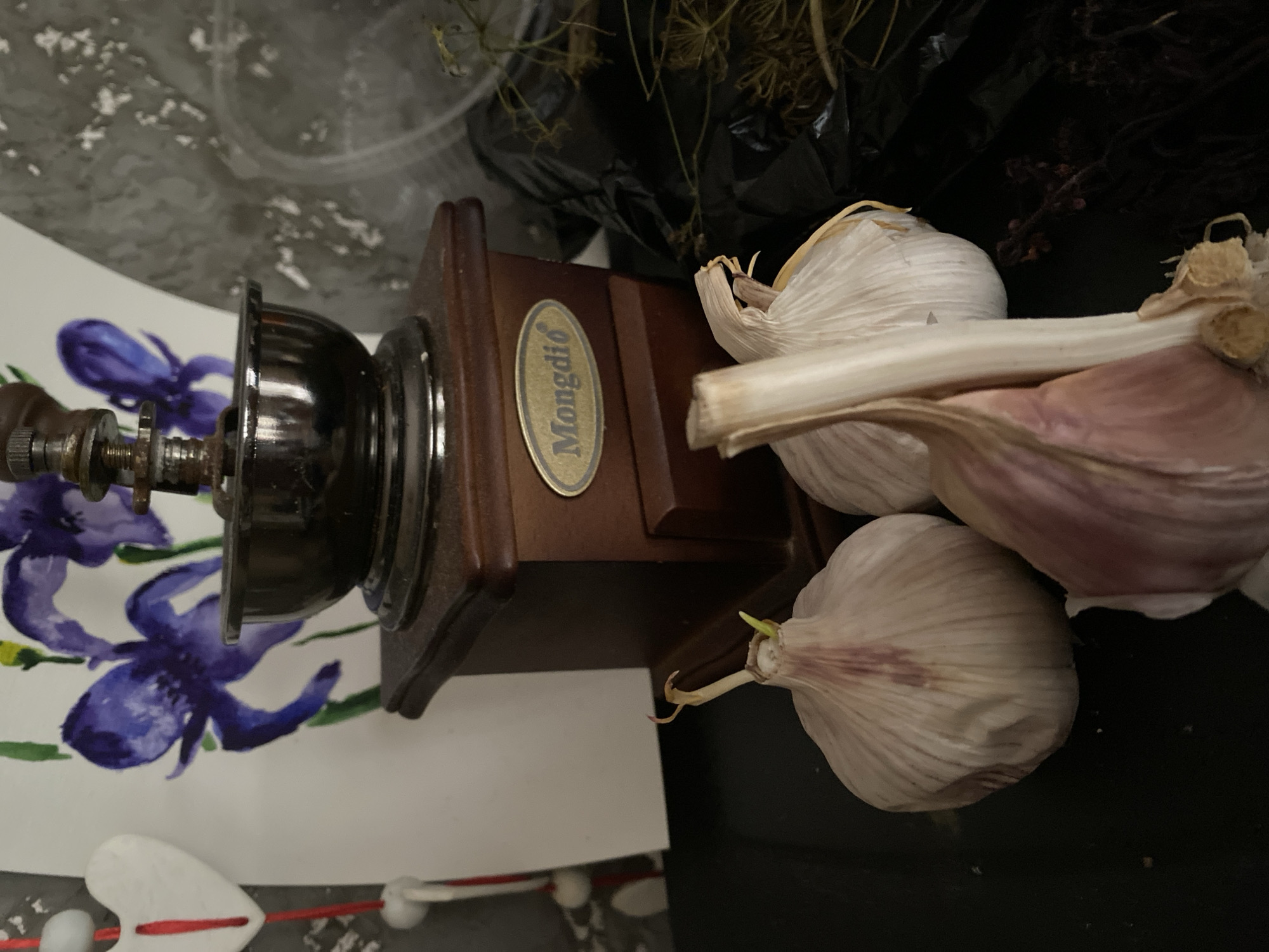In an indoor setting, possibly a kitchen counter, three bulbs of garlic with emerging green sprouts are positioned in the foreground. Behind the garlic, a vintage wooden coffee grinder with a metal hopper is visible. To the left of the coffee grinder, a portion of a white banner with painted purple irises is displayed. The background consists of a black plastic bag and dried herbs. The overall lighting suggests a dimly lit environment.