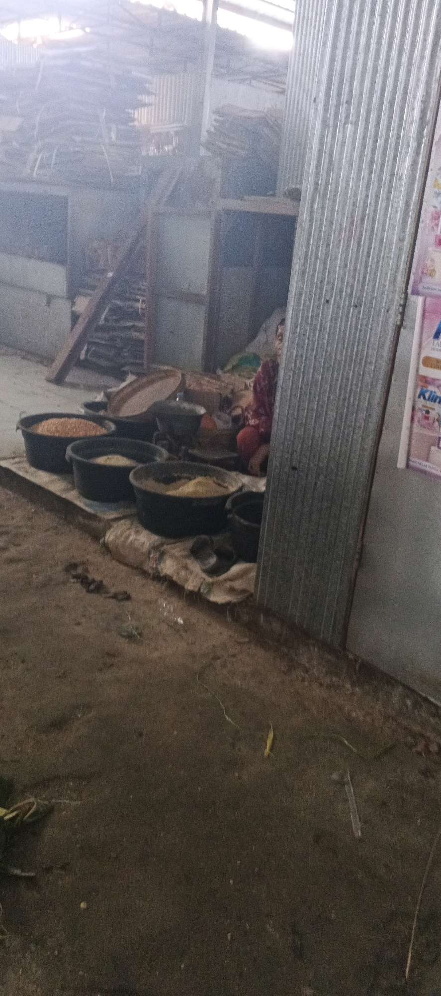 The image depicts an indoor scene, possibly a market stall or workshop, with a woman partially visible in the background to the right. She is wearing a red and pink patterned garment and appears to be seated. In the foreground, several large black plastic basins are arranged on the ground, containing what appears to be grains or other agricultural products. One basin in the front left is filled with yellow grain, likely corn. Behind this are other basins containing lighter colored material. A large, flat, round sieve or tray is also visible amongst the basins. The environment appears somewhat cluttered, with stacks of wood or building materials visible in the background. A corrugated metal sheet forms a prominent vertical element on the right side of the frame. The floor is dirt or earth. The lighting is diffused, suggesting it may be an overcast day or an interior space with indirect light. The overall impression is that of a working environment, possibly related to food preparation or storage. The location in Sekaran, Indonesia is not directly evident from the visual cues within the image itself.