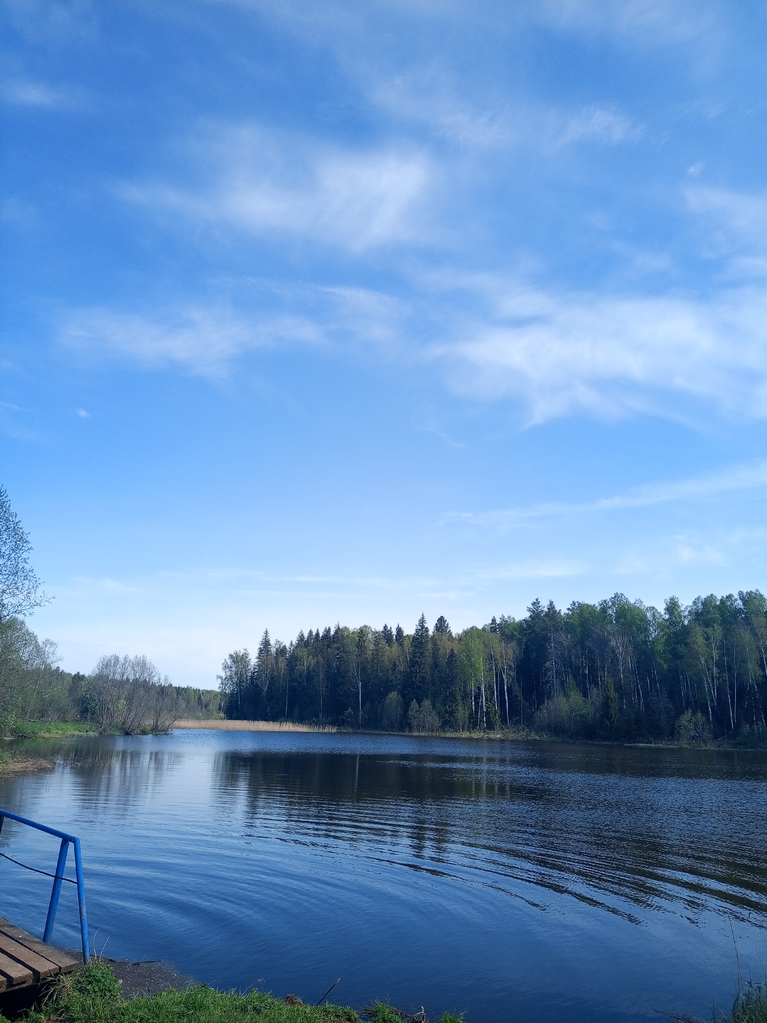 The image depicts a body of water, likely a lake or river, reflecting a blue sky with scattered cirrus clouds. A dense forest lines the opposite shore, composed of deciduous and coniferous trees. In the foreground, a section of a wooden dock with blue railing is visible. The water surface shows subtle ripples, and the vegetation on the near shore consists of green grass and some brush. The location is potentially near Ural'skoe, Russia, indicated by the landscape features.