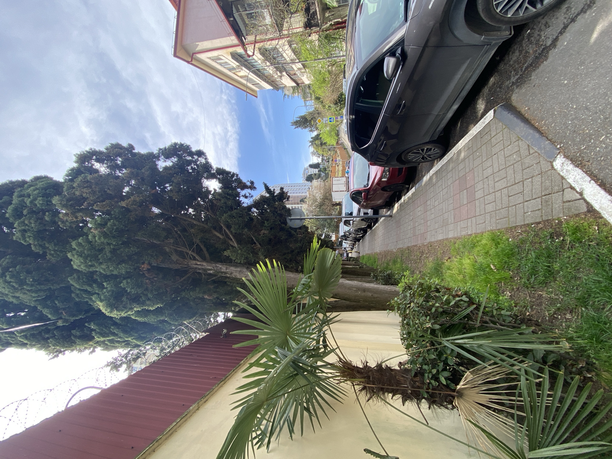 The image depicts a street scene in Sochi, Russia. A variety of cars are parked along a sidewalk, including a grey car closest to the viewer. A building with a reddish roof and a beige wall is visible on the left, with a palm tree and a bush in front of the wall. There is barbed wire along the top of the roof. A large green tree is next to the building. A sidewalk runs parallel to the street with patches of grass. The sky is blue with scattered white clouds. Buildings are visible in the distance.