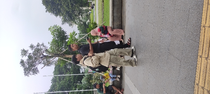 Memory
