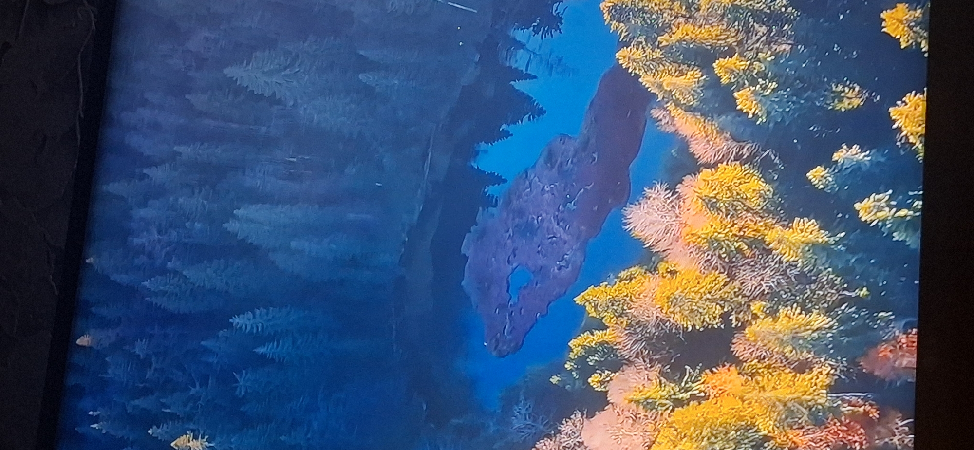 The image is an aerial view of a forest with a body of water. The trees in the foreground are autumnal with vibrant yellow and orange foliage. The trees in the background are a darker green, suggesting evergreen trees, and are densely packed. A large, dark, irregularly shaped object, possibly a fallen tree or a rocky outcrop, is partially submerged in the blue water. The water reflects the surrounding trees. The scene is set in a natural, wilderness environment. There is no visible urban infrastructure or human presence, and therefore no indication of a location in Bila Tserkva, Ukraine.