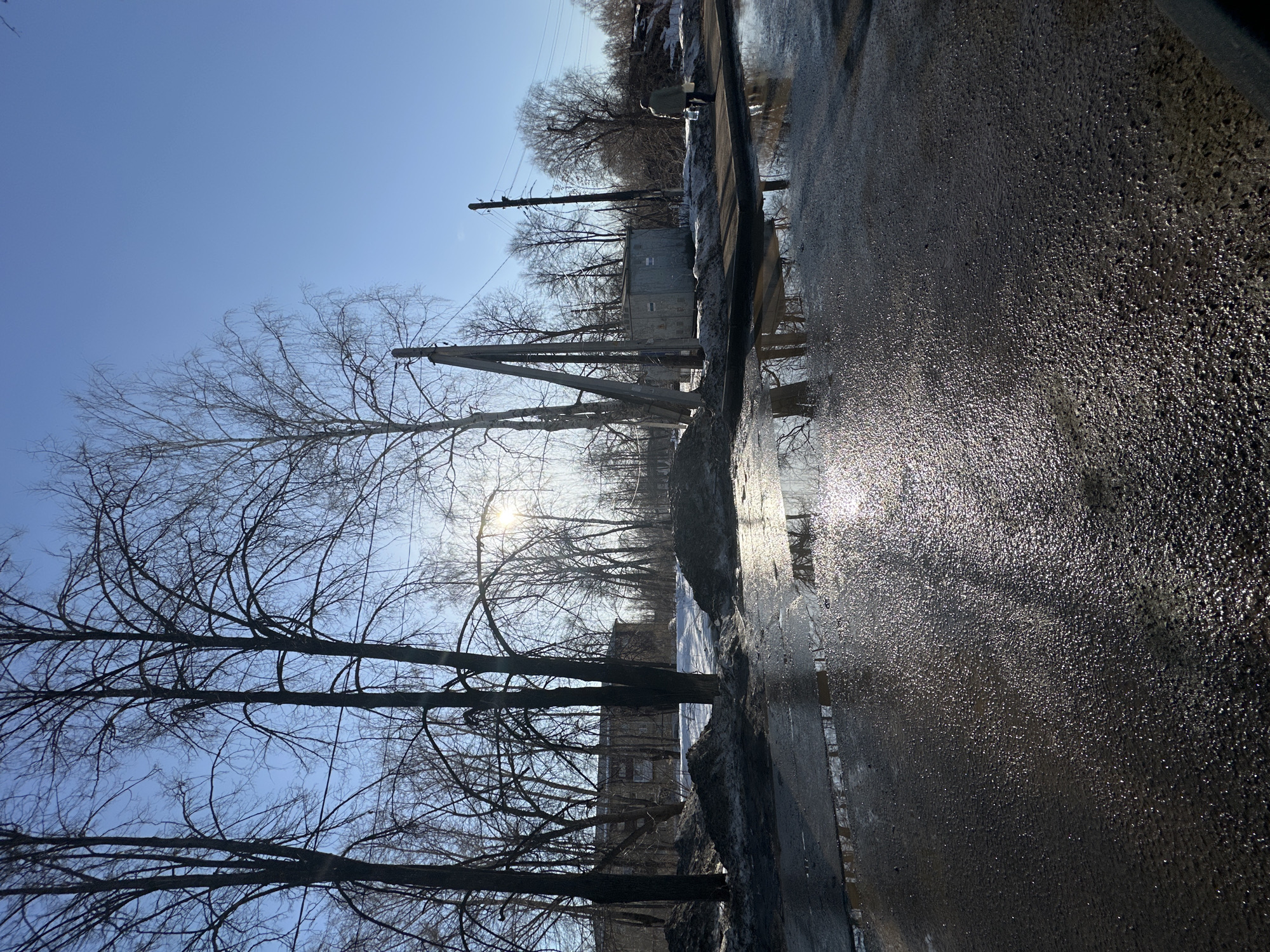 The image depicts a street scene in Chaikovsky, Russia, on a sunny day. The road surface appears wet and reflective, possibly due to melting ice or snow. Bare trees line the street, their branches silhouetted against a clear, blue sky. Power lines and utility poles are visible among the trees. In the background, a small building or structure can be seen. The overall scene suggests early spring or late winter conditions.