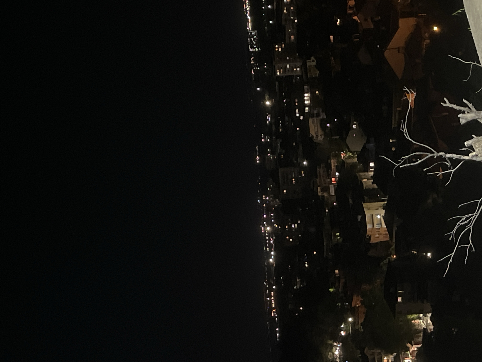 This image depicts a nighttime view of Plovdiv, Bulgaria, taken from a high vantage point. A dark body of water is visible on the left. On the right side, the scene reveals a residential area with houses and buildings illuminated by lights. Silhouetted branches are visible in the foreground.