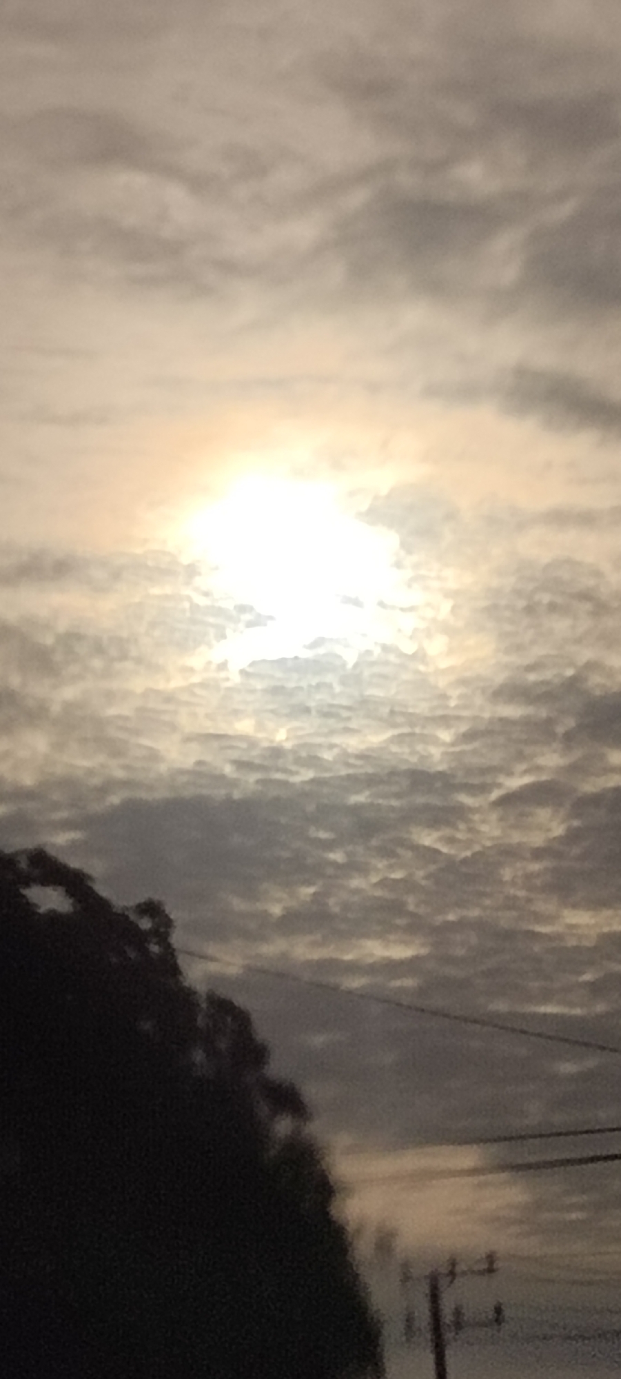 The image depicts a sky filled with textured, gray-toned clouds. A bright, undefined light source, likely the sun, is positioned near the center of the frame and is partially obscured by the clouds, creating a diffused glow. In the lower left corner, there is a dark mass, suggestive of a tree or foliage. In the lower right, electrical wires and poles are visible. There is no indication of the scene being in Peurupok, Indonesia. There are no discernible people, subjects, actions, or interactions depicted in the image.