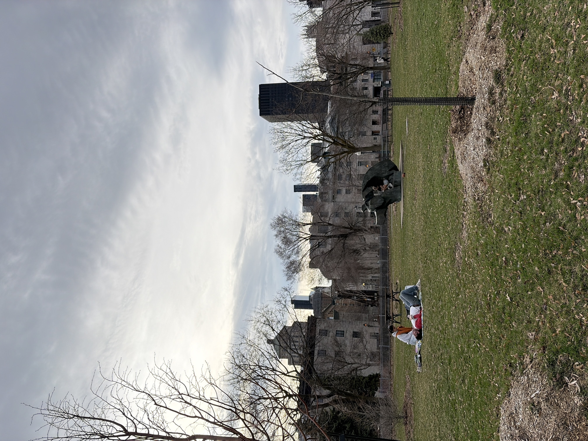 The scene is a park in Montreal, Canada, with a view of city buildings. The sky is overcast. A black high-rise building is visible in the background. There are trees with bare branches. In the foreground, two people are reclining on a blanket on the grass. Nearby, there are two bottles of beverages on the grass. A small tree is planted within a protective black wire fence. A large black art sculpture is to the left of the tree. There are brown leaves scattered across the grass in the foreground.
