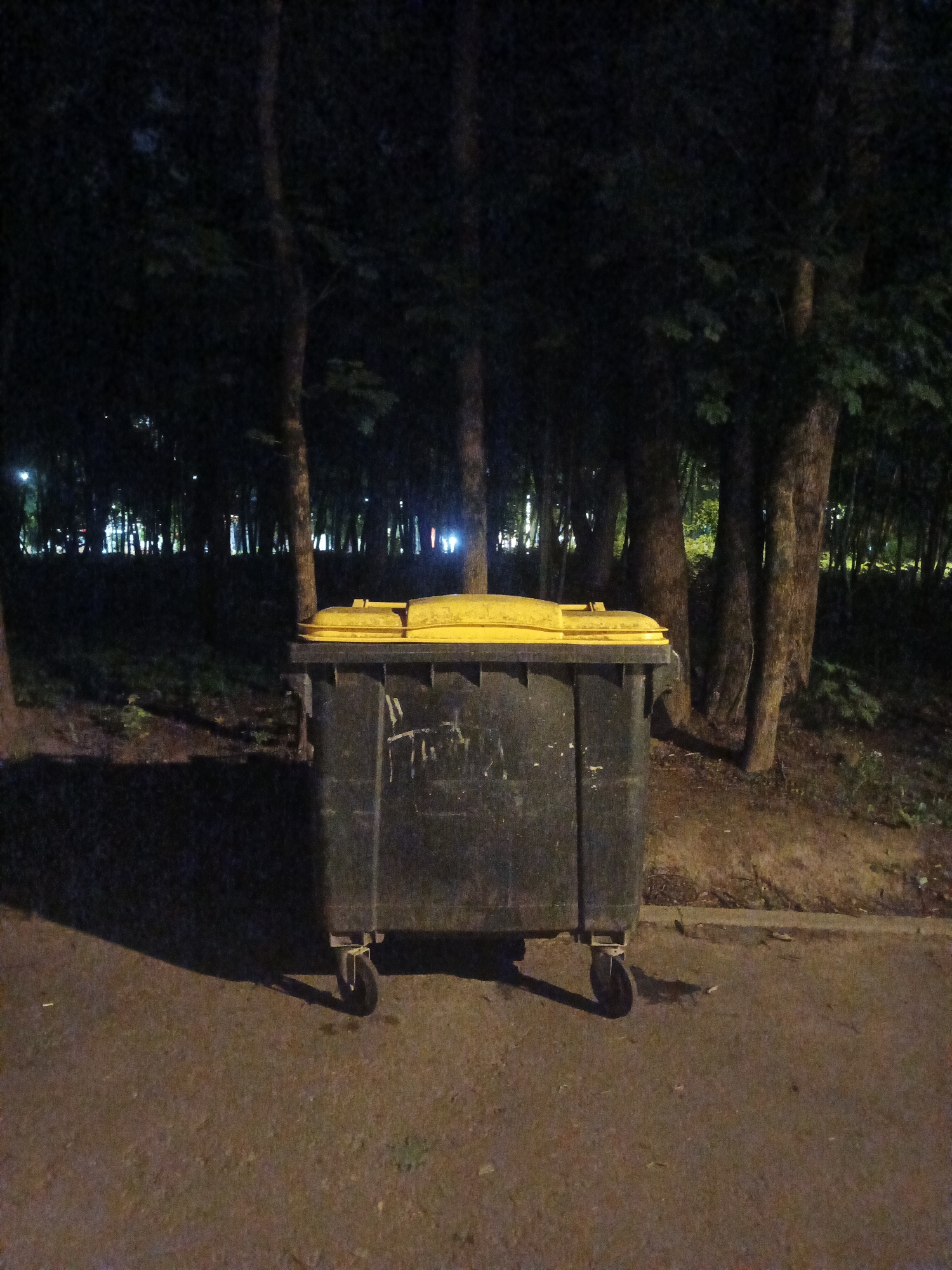 A large, dark gray garbage bin with a yellow lid stands on a paved surface in front of a wooded area at night. The bin has wheels on its base. The trees in the background are dark and appear to be illuminated from a distance, with some lights visible through the foliage. The ground in the foreground is a mix of pavement and dirt. There are no people or animals visible in the image. The scene is likely a public space within the city of Sof'ino, Russia.