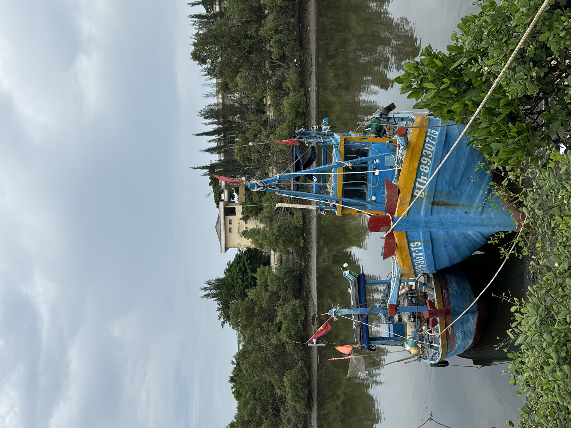 The image depicts two blue and yellow fishing boats docked in a narrow waterway, likely a river or canal, in Phú Thủy, Vietnam. The boats are positioned side-by-side, with the boat on the right partially obscuring the left one. Both vessels are equipped with multiple masts and rigging, and one is adorned with red and orange flags. The water appears calm, reflecting the overcast sky and the surrounding lush green vegetation. The background features a dense line of trees and a low-rise building with a yellow facade. The overall scene suggests a quiet, rural setting, possibly a fishing village or a port. The registration numbers on the boats are partially visible, one reads "BTH-89307-TS."