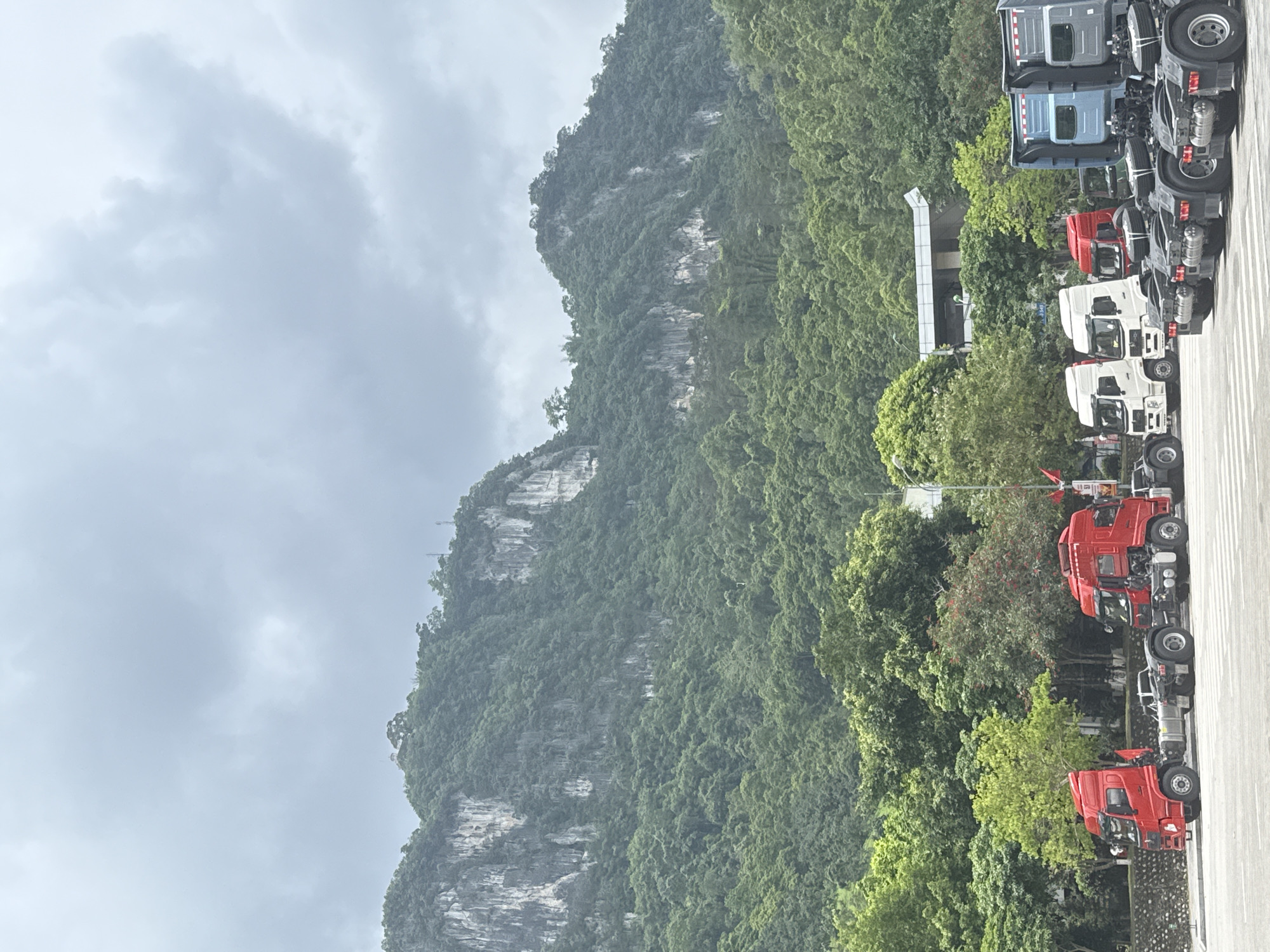 The image shows a row of parked semi-trucks of various colors (gray, blue, red, and white) on a paved surface. Adjacent to the parking area is dense green vegetation, including trees and shrubbery. Behind the vegetation is a large, karst mountain with visible rock formations and foliage covering its slopes. The sky is overcast with gray clouds. The location is likely near the city of Đồng Đăng, Vietnam, based on the terrain and vegetation. There are no people visible in the image.