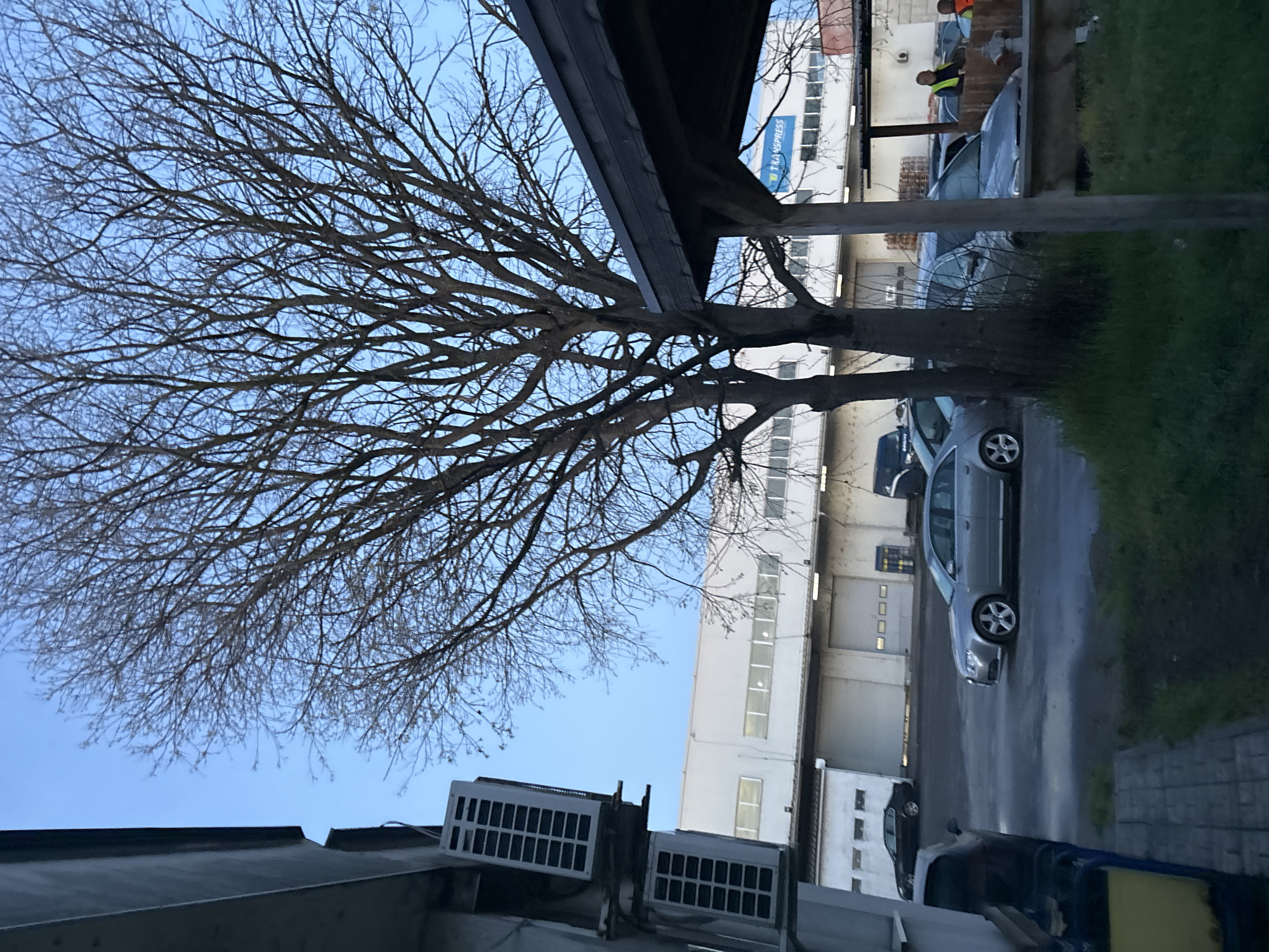 The image captures an urban scene in Burgas, Bulgaria, possibly in an industrial or commercial area. The sky is a pale blue, hinting at either early morning or late afternoon. A bare tree with intricate branch patterns dominates the left side of the frame. The tree is situated next to a building with visible air conditioning units mounted on its exterior. A covered walkway or structure is located above the tree. Several cars are parked in an open space next to the building. There are people visible at the edge of the frame on the right side. In the background there is a white, industrial-looking building with multiple windows. The pavement appears wet, suggesting recent rain.