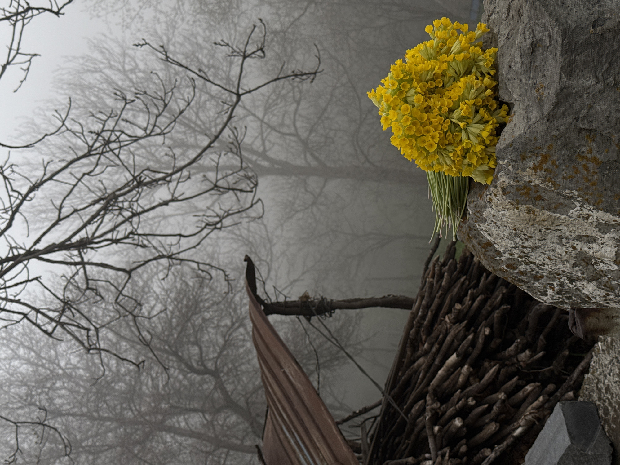 A yellow bouquet of flowers rests against a gray rock in a foggy outdoor scene in Karaberd, Armenia. The bouquet is tightly packed and composed of numerous small, bright yellow flowers with green stems. The rock is textured with gray and some greenish-yellow patches. Behind the rock and flowers, there is a blurry background filled with leafless trees shrouded in fog. A dilapidated wooden structure with a portion of a corrugated metal sheet is visible. The scene is overcast and appears damp due to the fog.