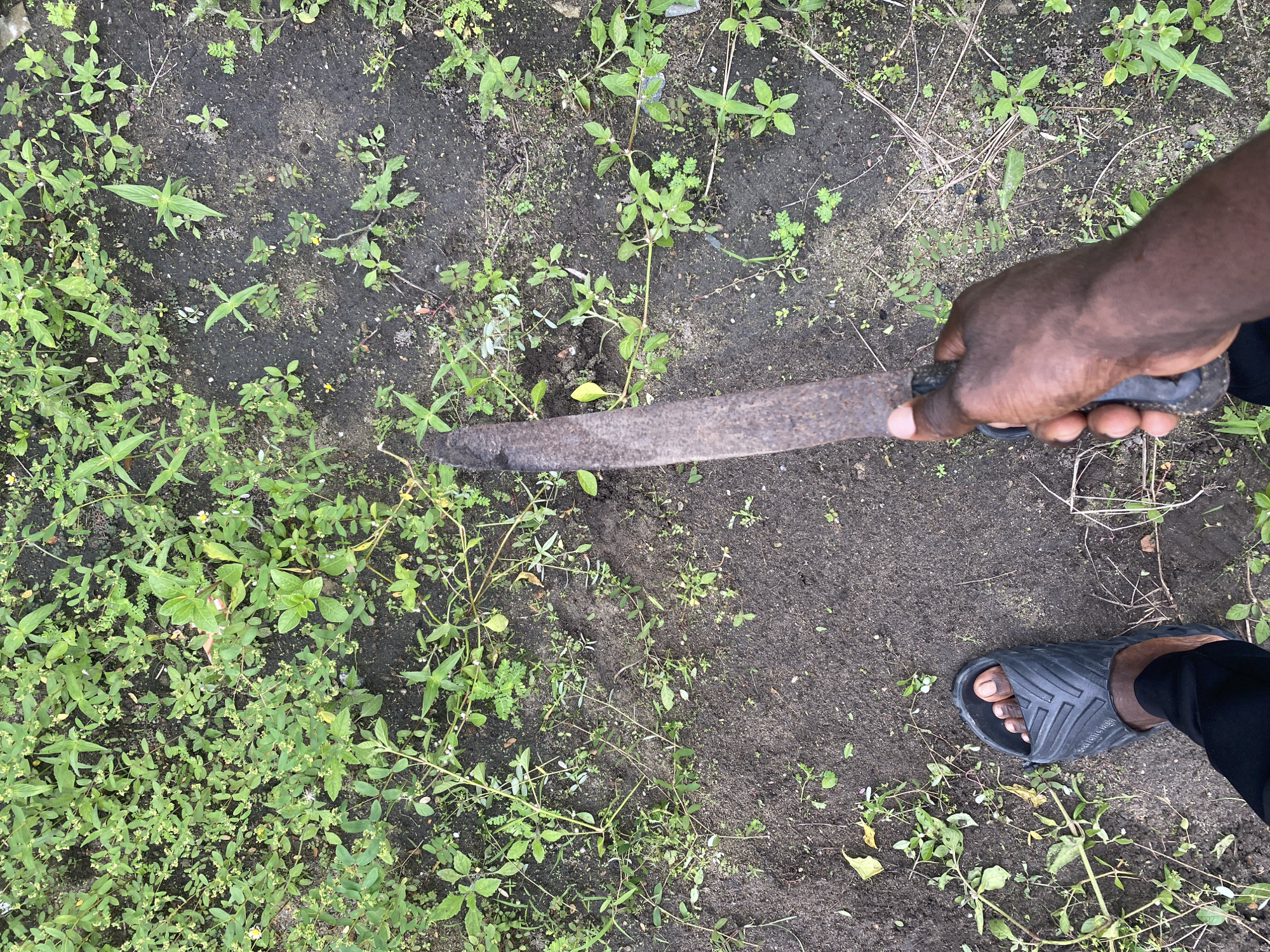 The image shows a person standing on dirt with weeds growing. The person is holding a rusty machete. The person is wearing a black sandal and black pants. The location is Unknown, Unknown.