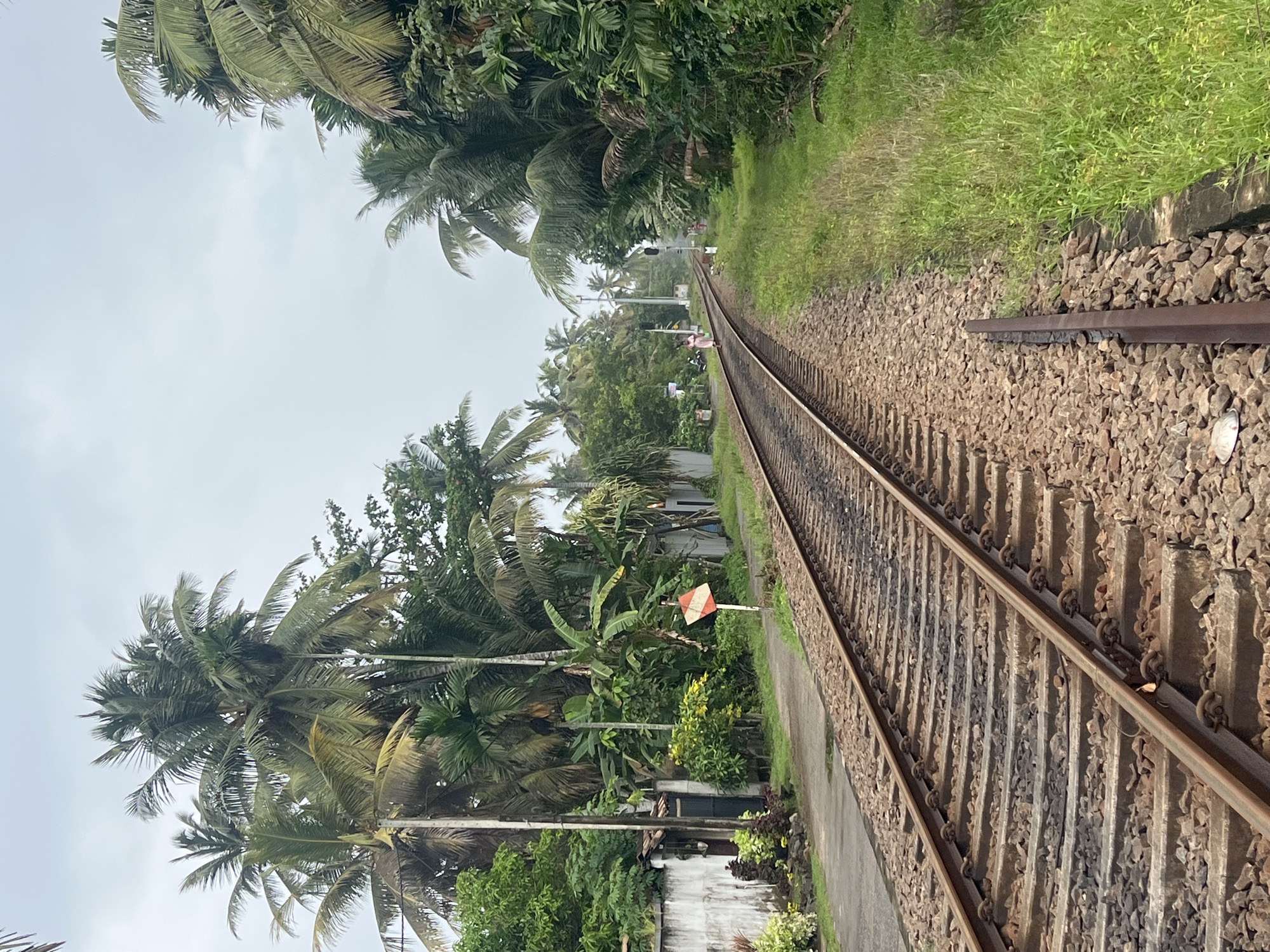 This image captures a railway track in Boossa, Sri Lanka, flanked by lush tropical vegetation. The railway line runs diagonally from the foreground to the mid-ground, with palm trees and other dense foliage on either side. In the distance, a person in a pink garment is walking along the track, and another person is visible further down the line. A white and red railway signal stands beside the tracks. To the left of the tracks, a white wall separates the railway from a residential area with a small building. The sky is overcast, suggesting a cloudy day. The scene depicts a rural or semi-rural setting characteristic of coastal Sri Lanka.