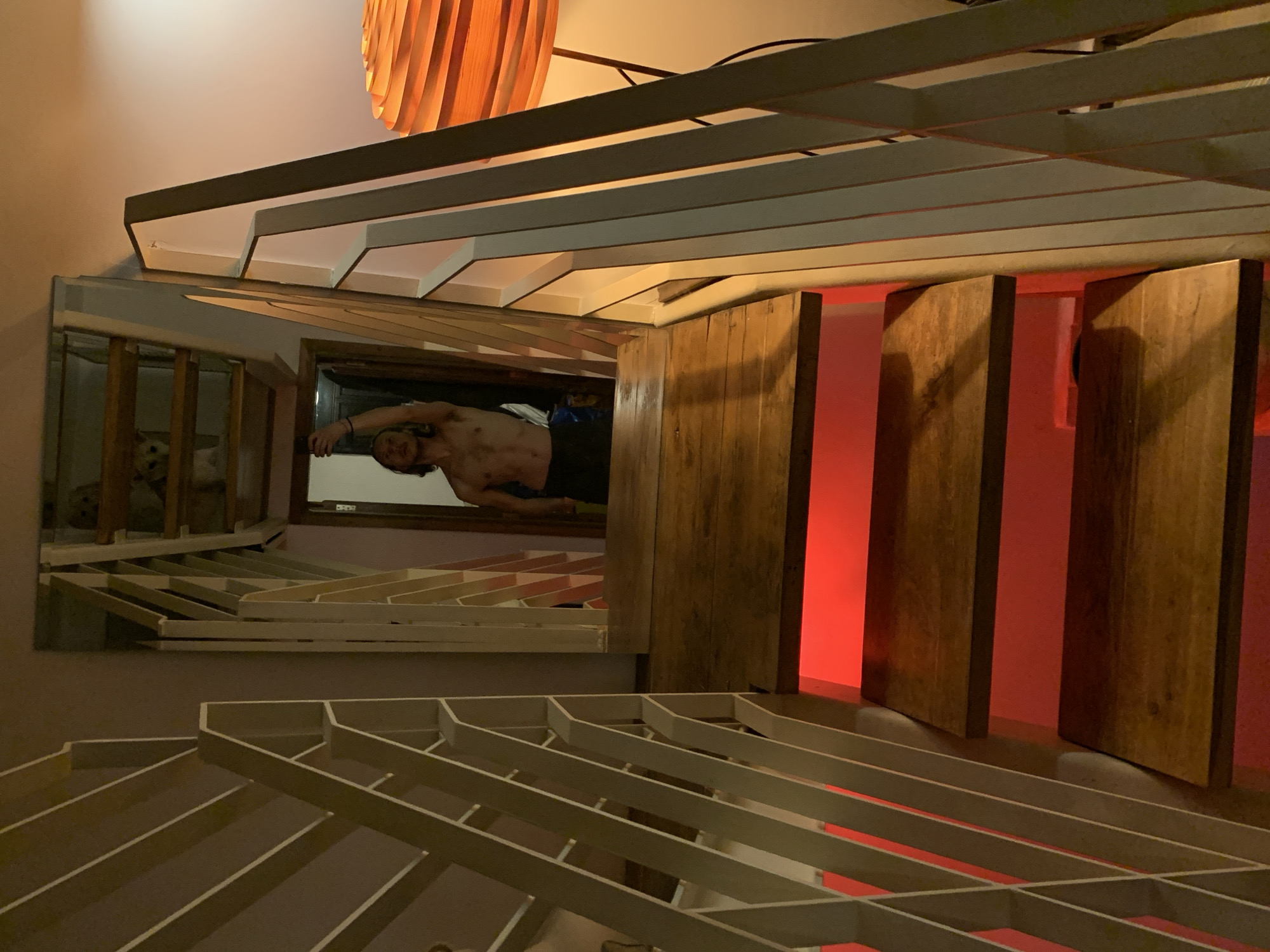 The image presents a disorienting, skewed perspective of an interior, likely in Tel-Aviv, Israel given the architecture's modern design elements. A man's reflection is visible in a mirror on the wall. Another mirror on the wall shows dogs behind a barred enclosure. The foreground and "ceiling" are dominated by a white, parallel, rectilinear, open-frame structure, creating a lattice effect. To the right, a section of wooden paneling is illuminated with a red light. A segmented, circular lamp is mounted near the top edge of the frame. The overall impression is architectural and stylized.