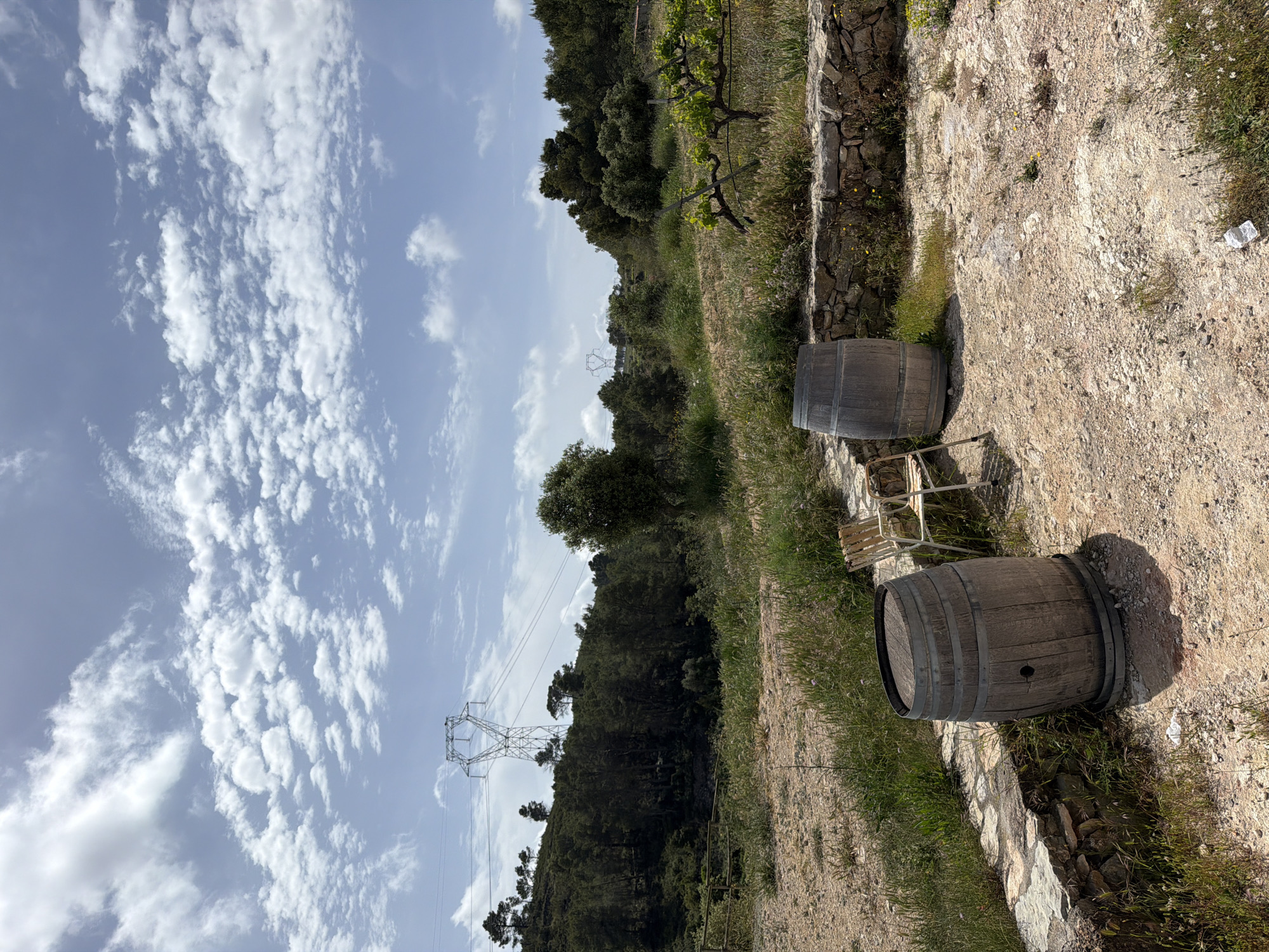 This outdoor scene, presumably in Bonastre, Spain, shows two weathered wine barrels set on a gravelly surface near a low stone wall. Behind the barrels, a small, possibly wrought-iron, table and chairs set is visible. The terrain slopes upward into a hillside covered with vegetation, including trees and what may be grape vines. In the background, an electricity pylon is visible against a sky filled with scattered clouds. The orientation of the image is sideways.