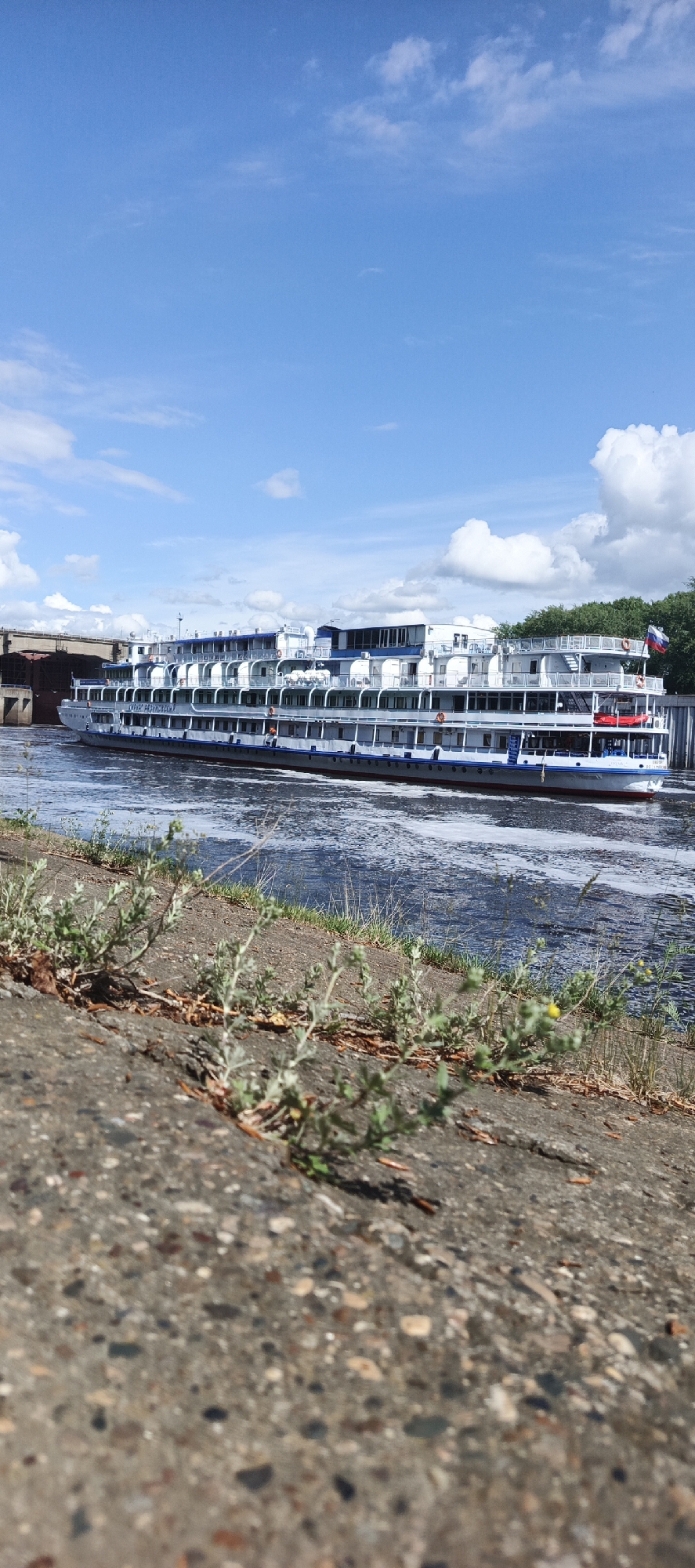 The image depicts a large, multi-decked passenger ship navigating a waterway in Chaikovsky, Russia. The ship is white with blue and red accents and is flying a Russian flag. It appears to be moving, creating a wake in the water. In the background, there is a bridge structure on the left and a line of trees on the right. The sky is blue with scattered white clouds. The foreground shows a concrete embankment with some vegetation growing along the edge, suggesting the image was taken from the shore. The focus is primarily on the ship.