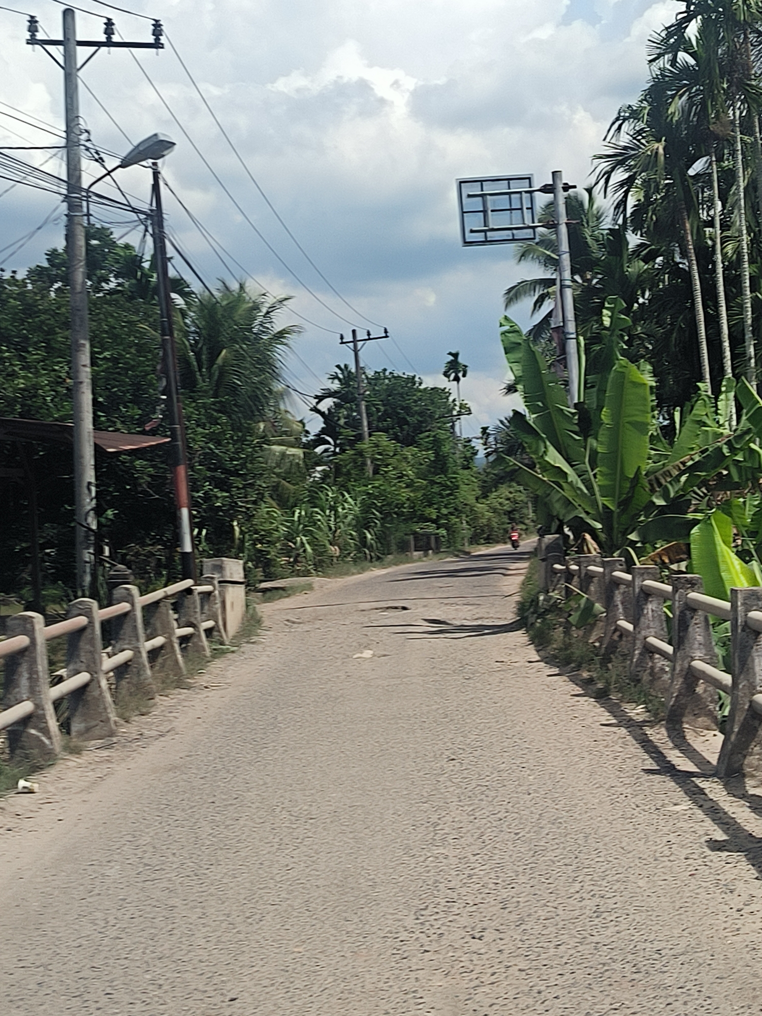 This image depicts a rural road in Kruengmanyang, Indonesia, under a cloudy sky. The road, paved with asphalt, appears weathered with visible cracks and potholes. On the left side of the road, a concrete barrier with wooden rails lines the edge, leading towards a prominent utility pole supporting numerous electrical wires and a street lamp. Dense green foliage, including trees and large-leafed plants, borders the road on both sides, with palm trees visible on the right. In the distance, a person on a motorcycle is seen traveling away from the camera. A rectangular traffic sign is mounted on a pole in the upper right portion of the frame, partially obscured by palm trees. The overall scene suggests a typical day in a tropical, possibly developing, region.