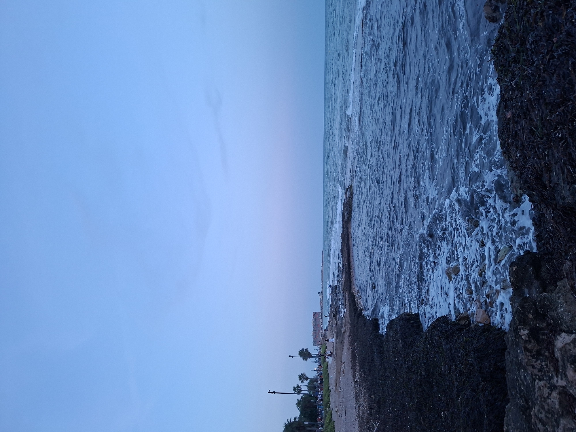 The image depicts a view of the sea and coastline in Torrevieja, Spain, likely during twilight or early evening. The sky is a pale blue transitioning to a darker hue towards the horizon. The sea is a deep blue with moderate waves creating white foam as they crash against the rocky shore.
Along the left side of the image, a paved walkway lines the beach. Palm trees and other vegetation are visible, with several streetlights illuminating the area. A building with a colorful facade, possibly a hotel or residential complex, stands further down the coast.
Several people are scattered along the walkway and on the beach, some walking, others sitting. A few individuals are also visible near the water's edge on the rocks. The foreground is dominated by dark, rough rocks covered in seaweed, leading down to the water. The scene conveys a sense of a public space by the sea, popular for evening strolls.